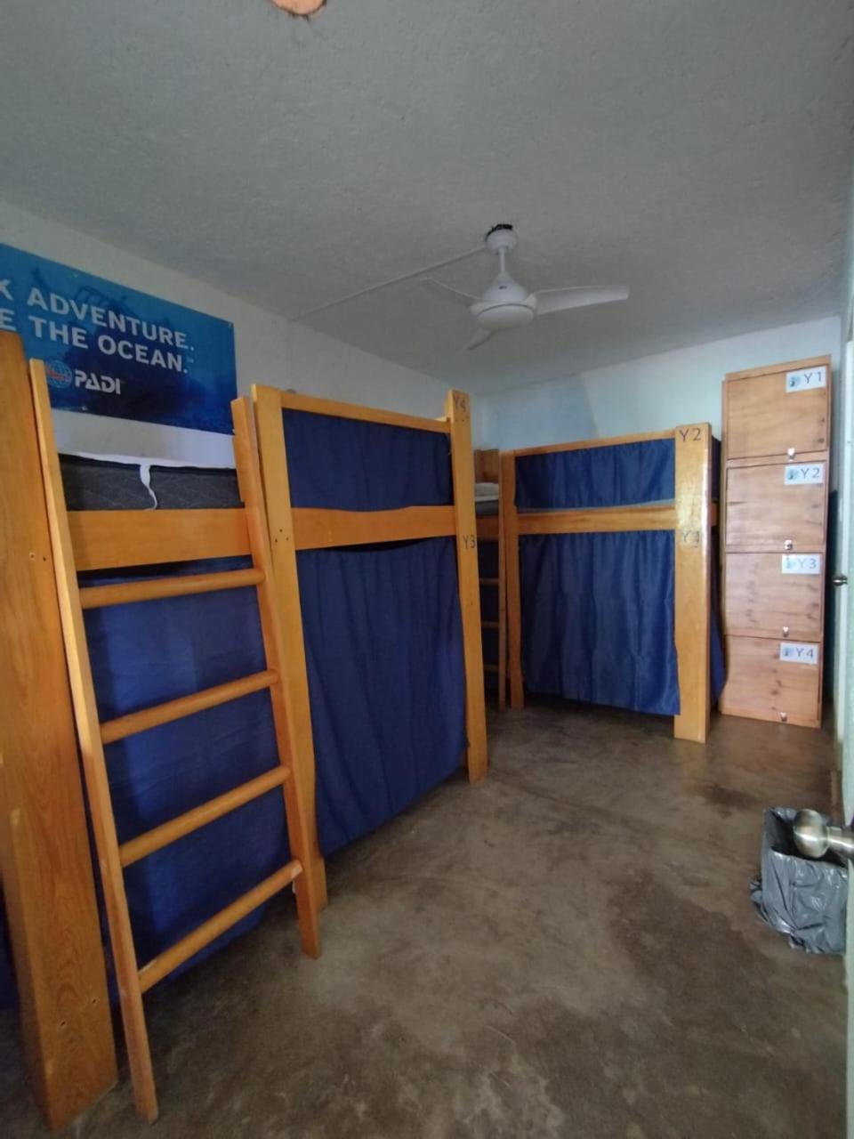 Single Bed In Mixed Dormitory Room photo 1