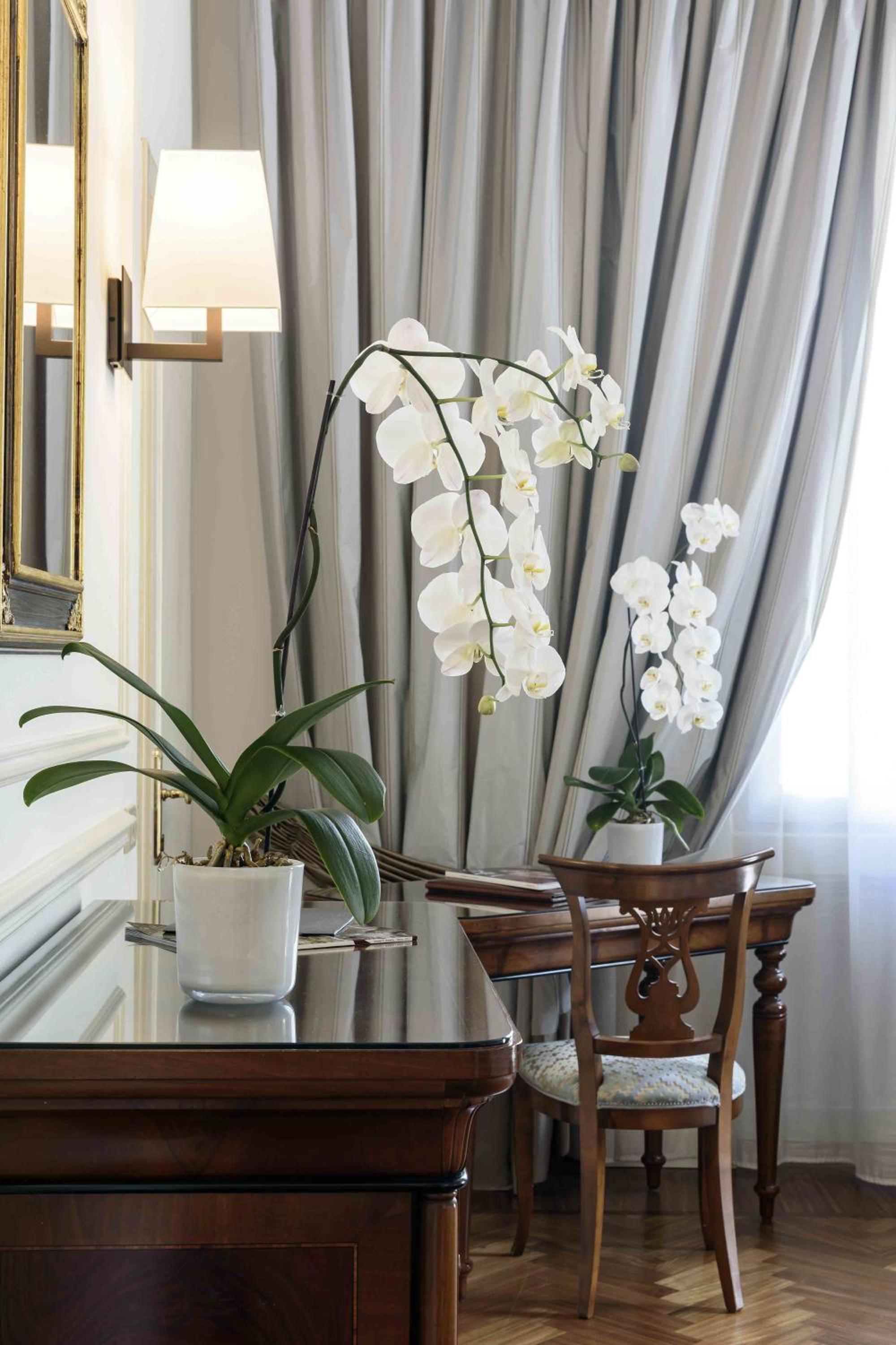 Suite with Terrace thumbnail 6