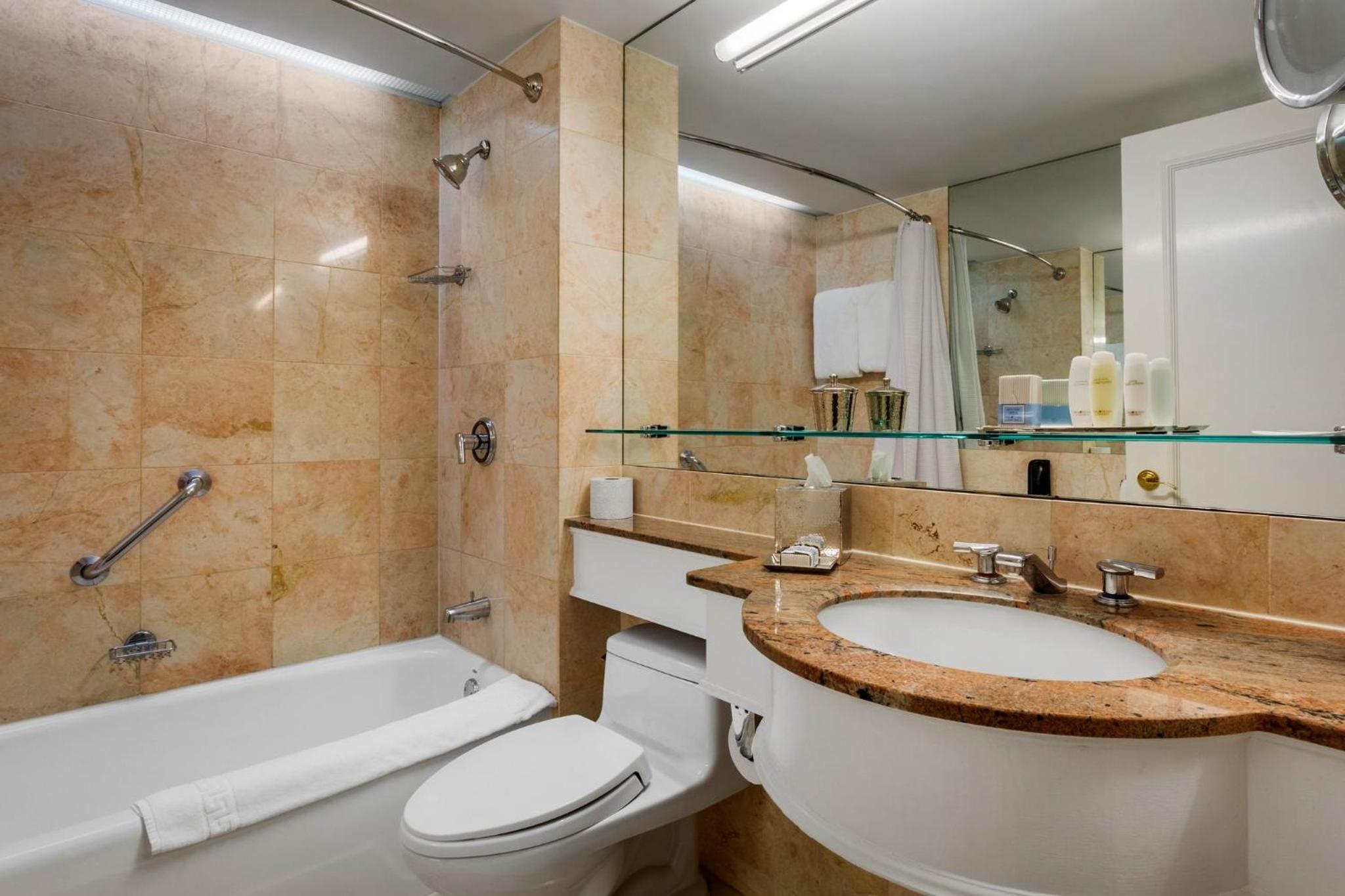 Premier Skyline View King