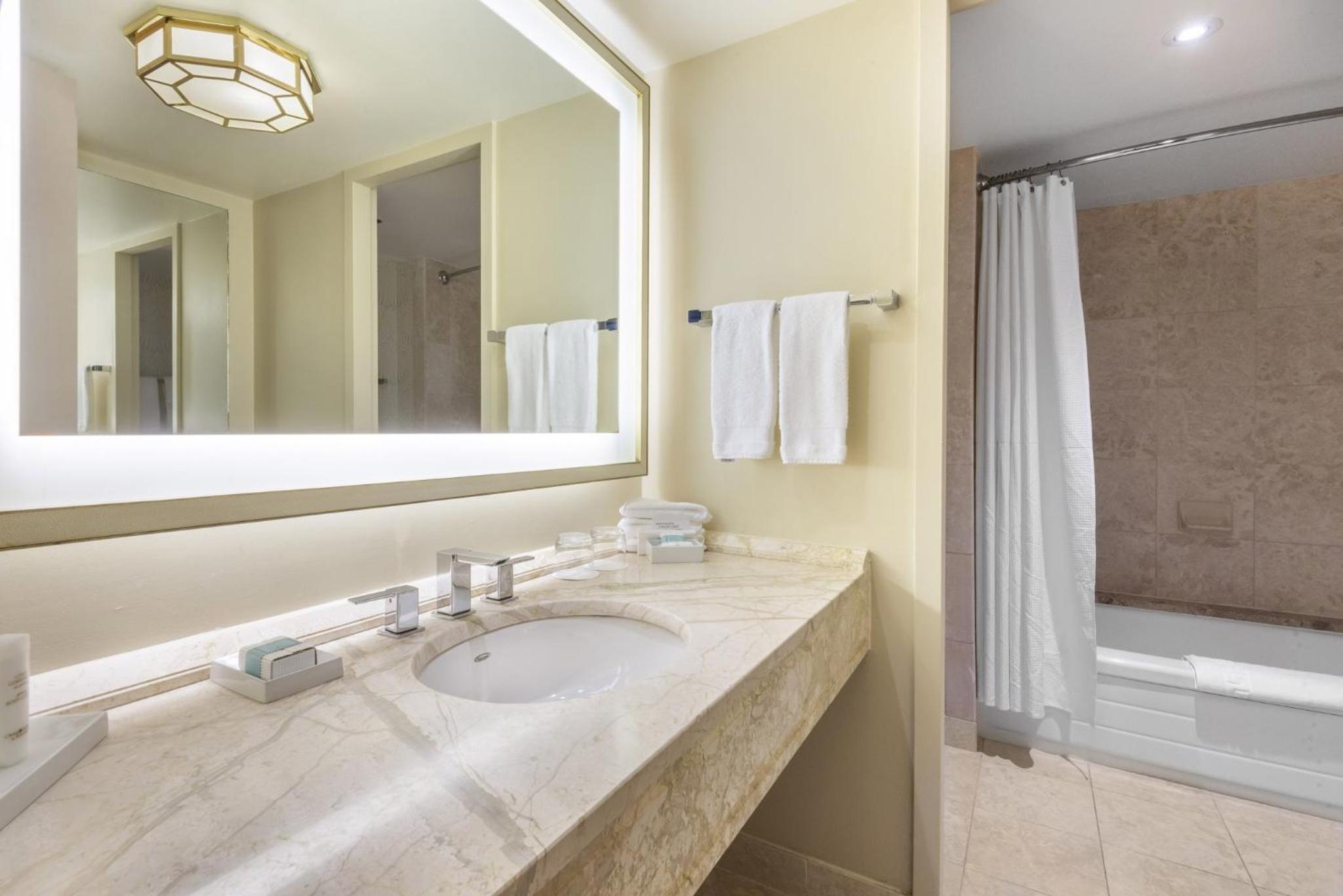 Premium King Room - Photo 4