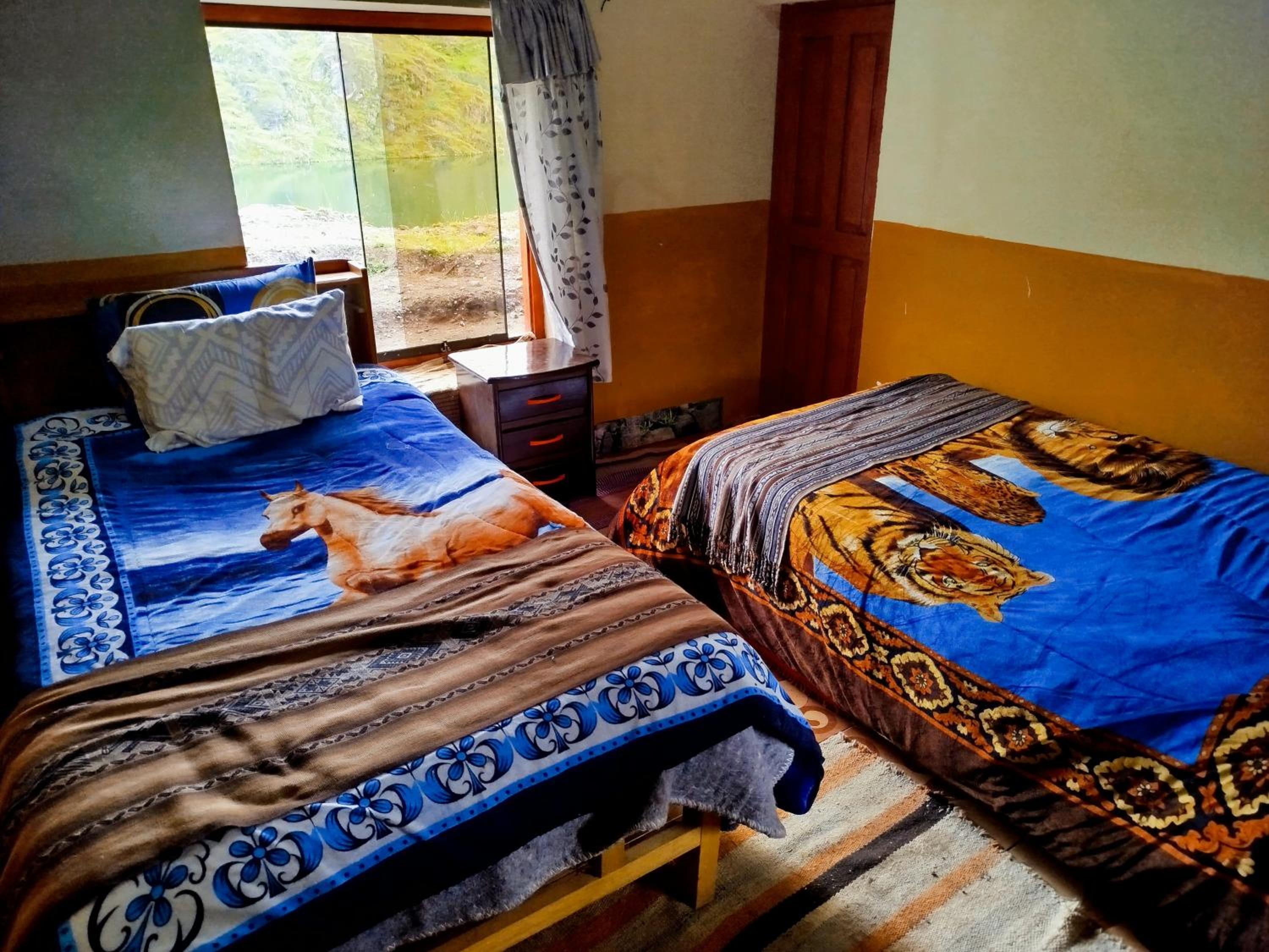 Twin Room photo 3