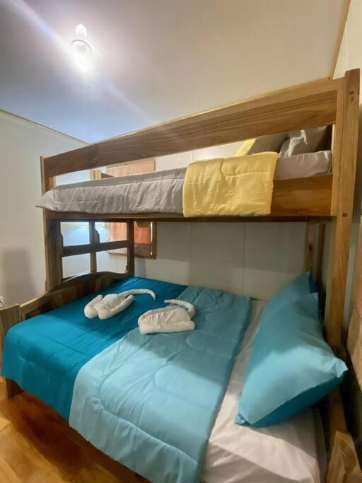 Two-Bedroom House photo 3