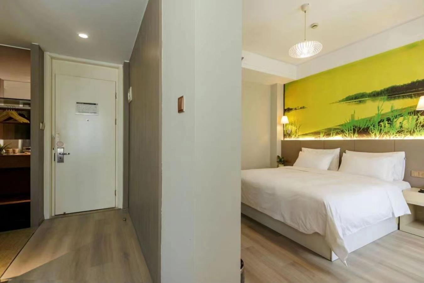Suite - Photo 1