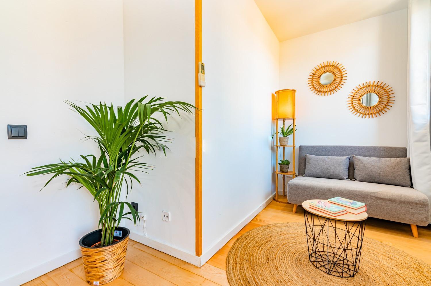 One-Bedroom Apartment photo 3