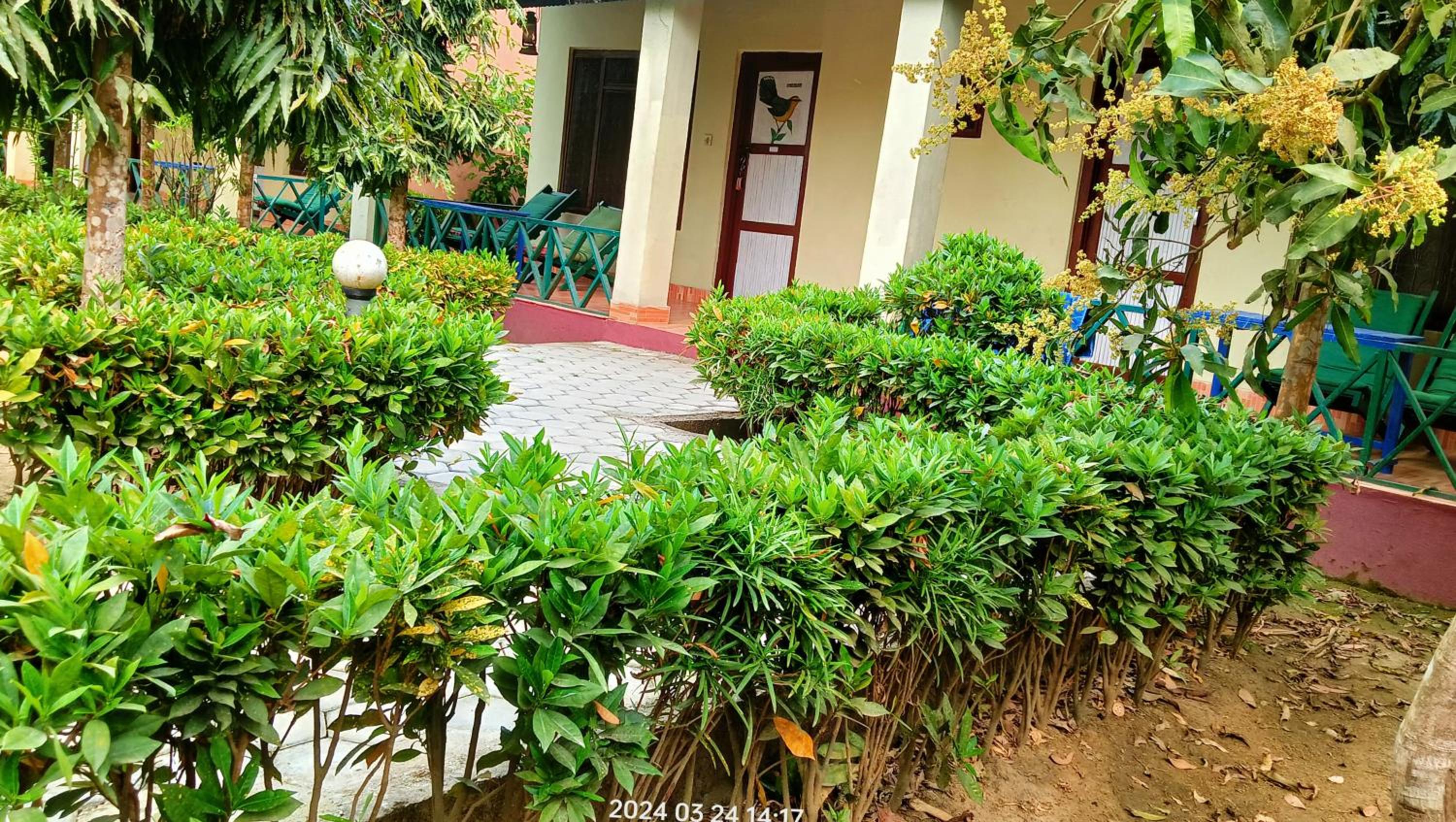 Budget Double Room