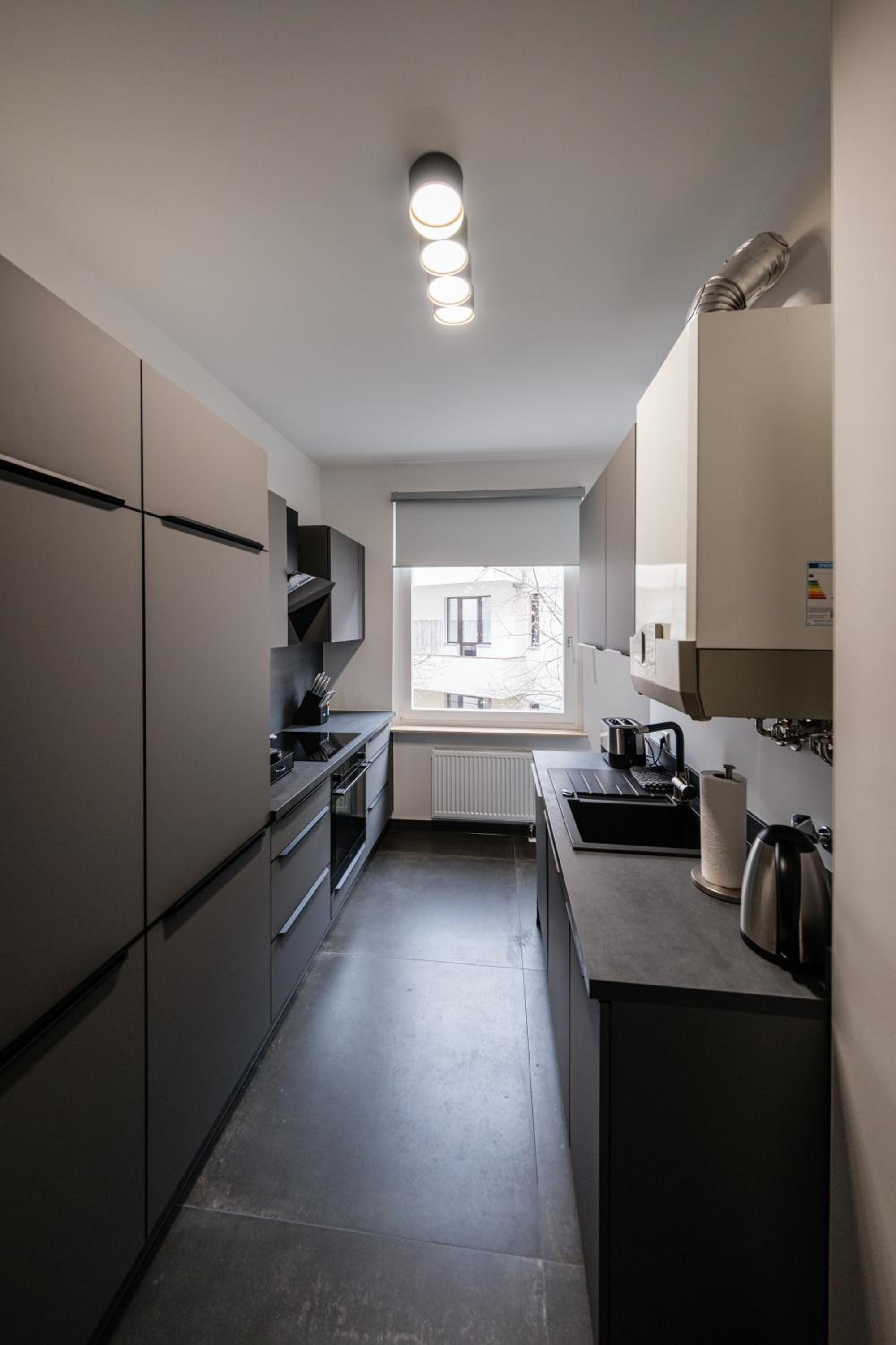 One-Bedroom Apartment photo 3