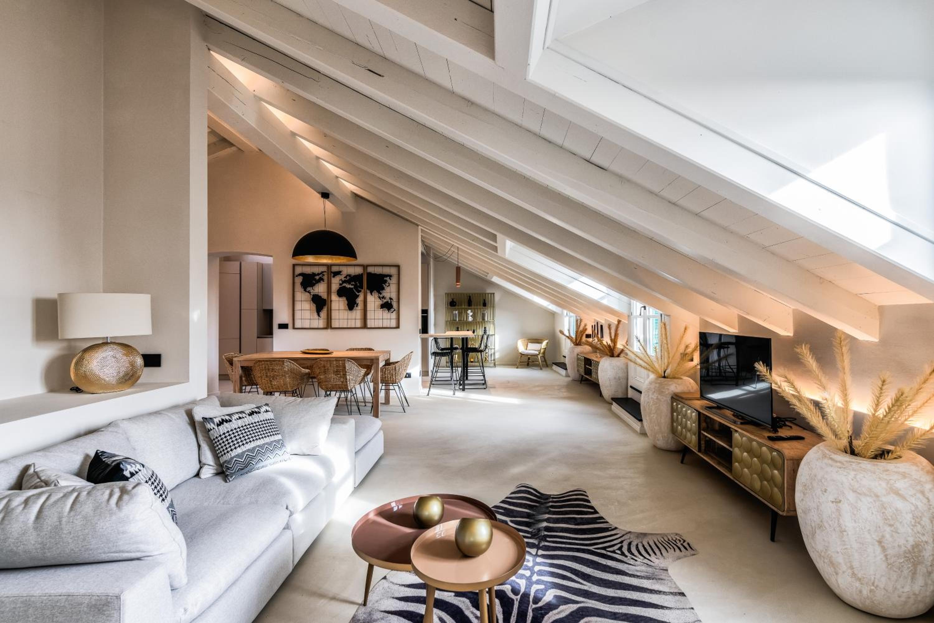 Penthouse Apartment
