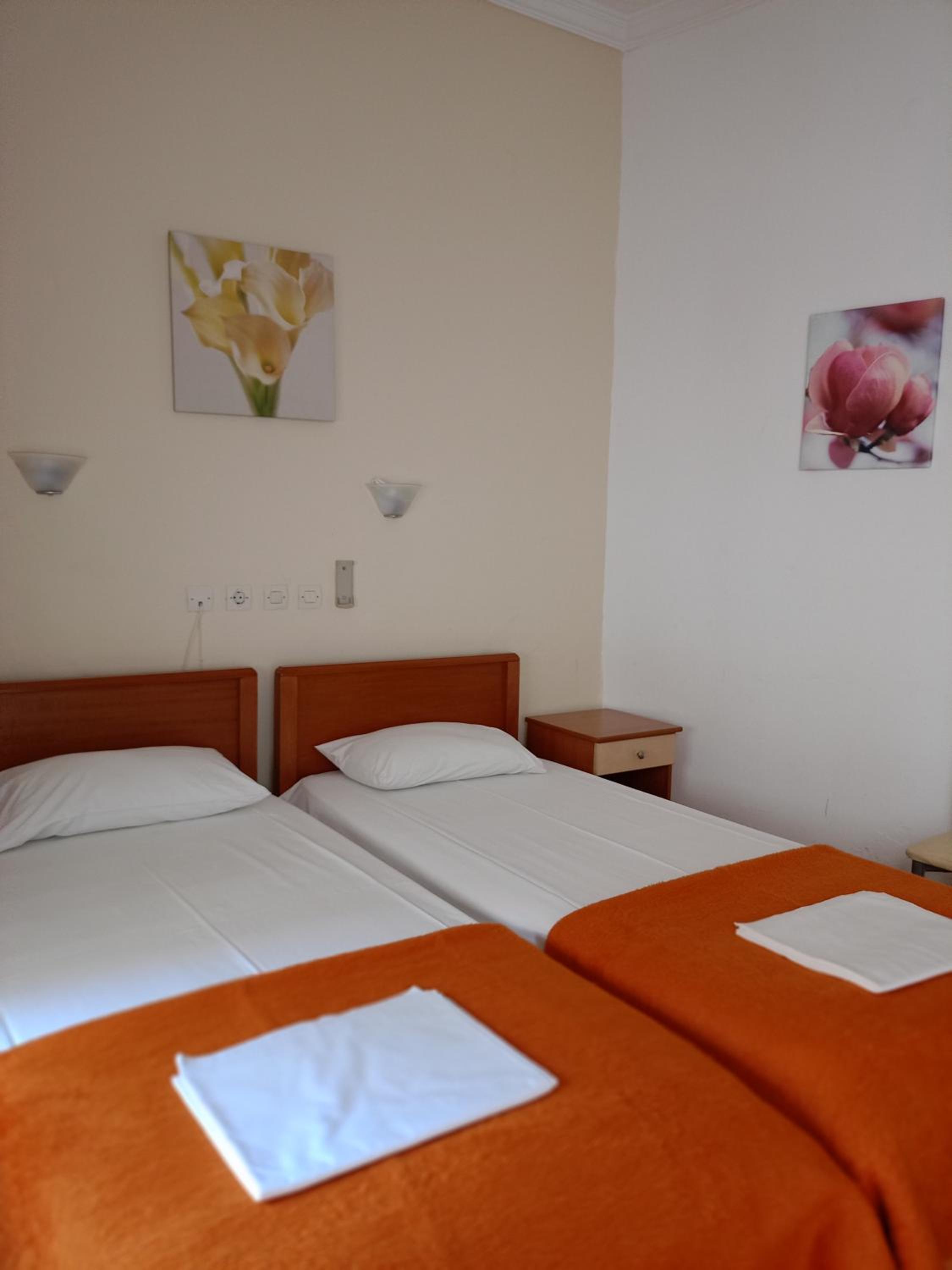 Economy Twin Room photo 1
