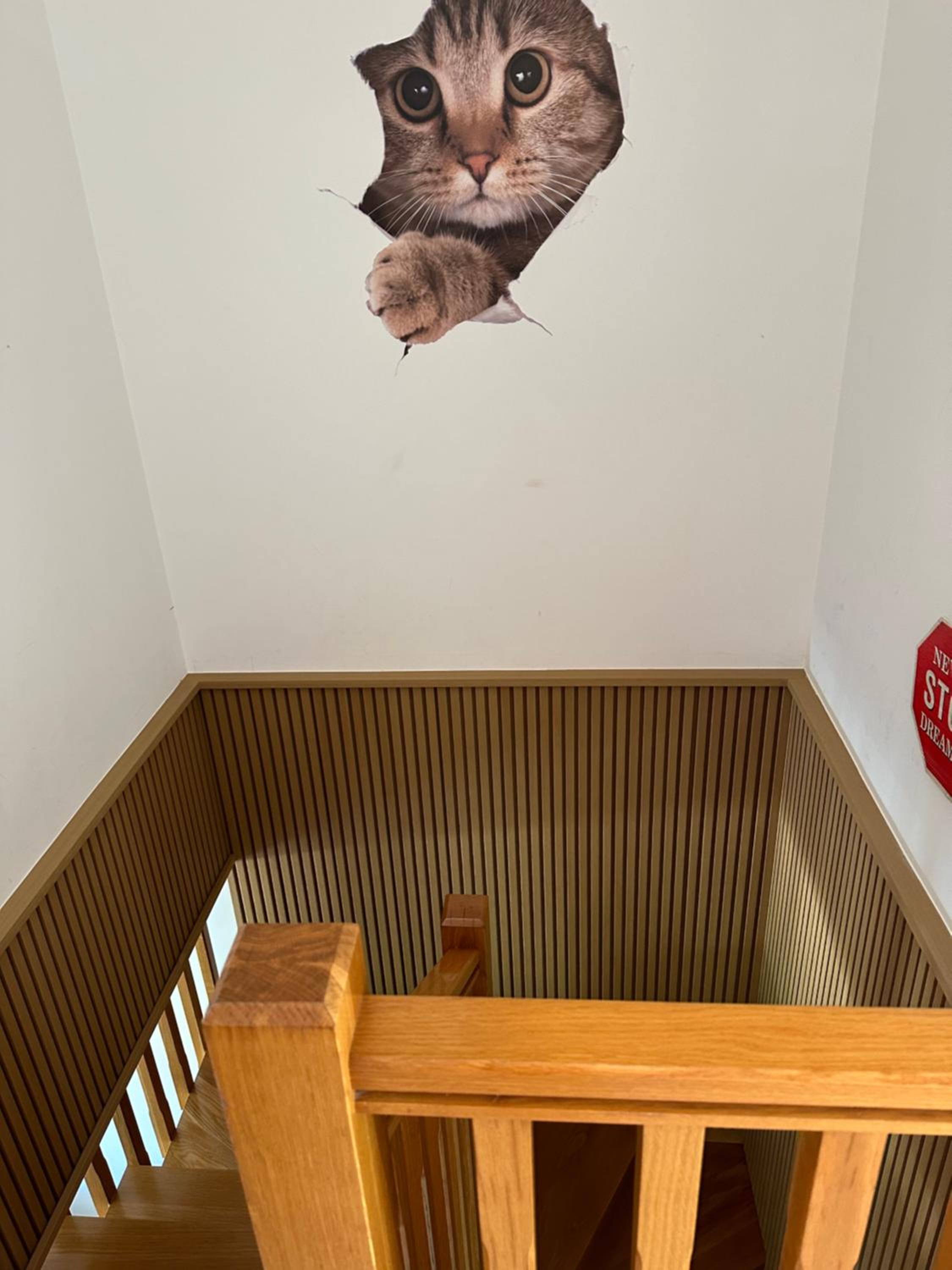 Apartment - Photo 5