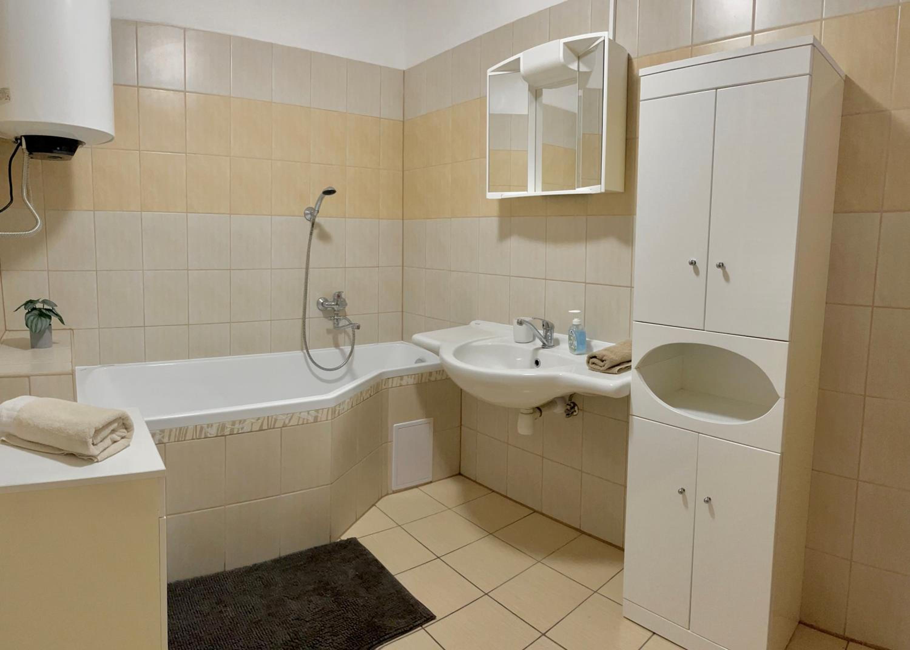 Standard Apartment photo 2