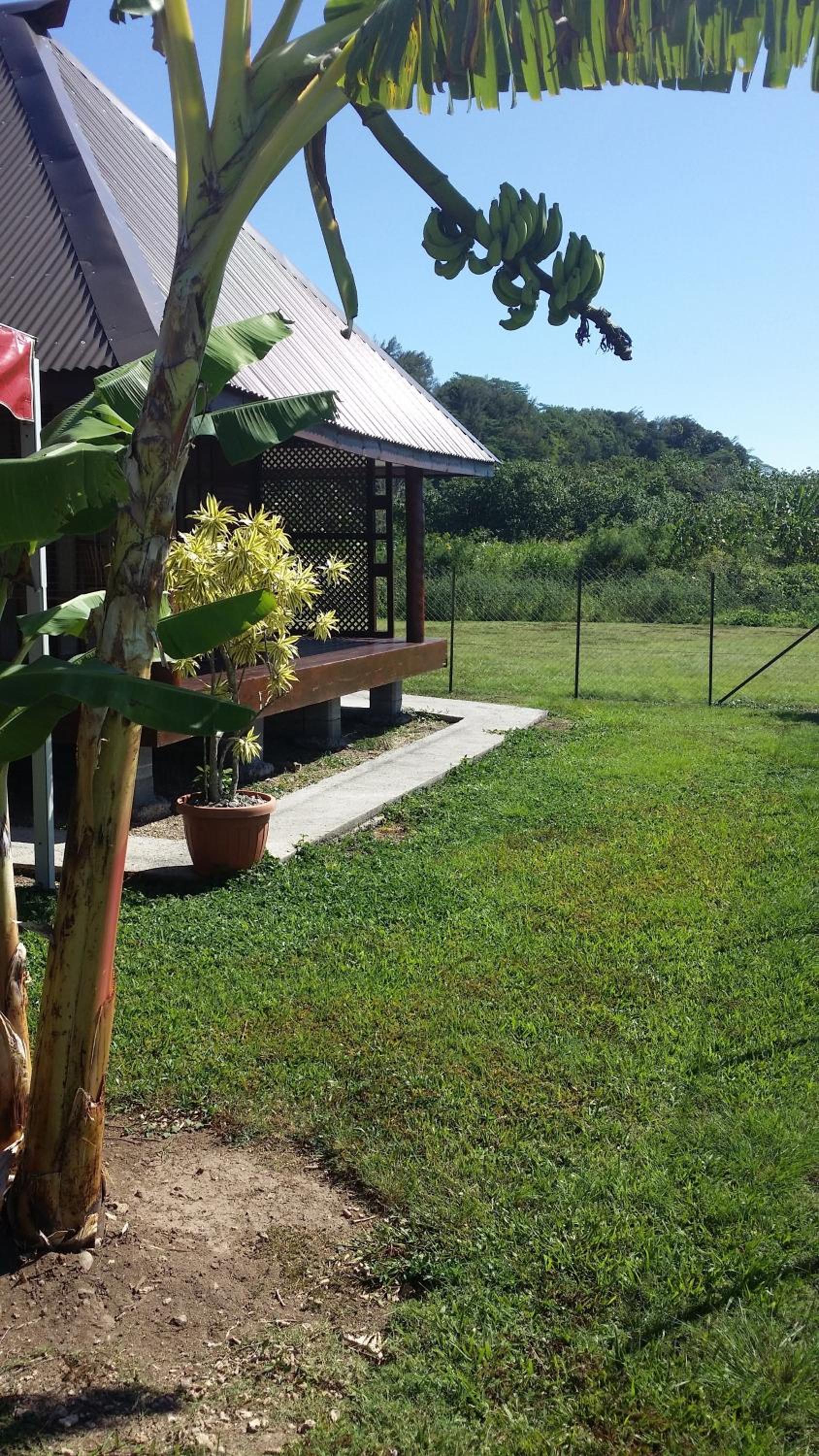 Bungalow with Sea View photo 2