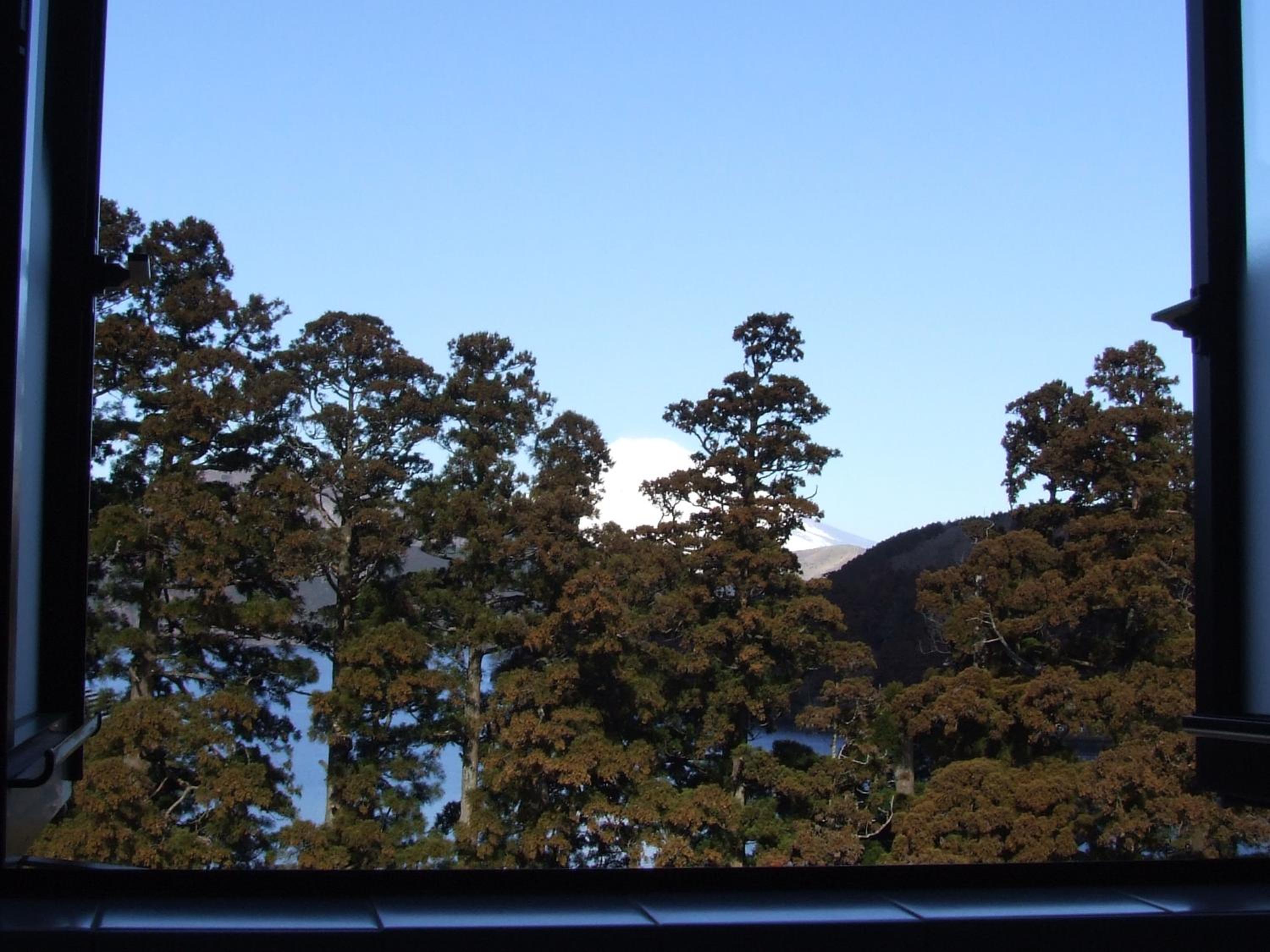 Japanese-Style Twin Room photo 3