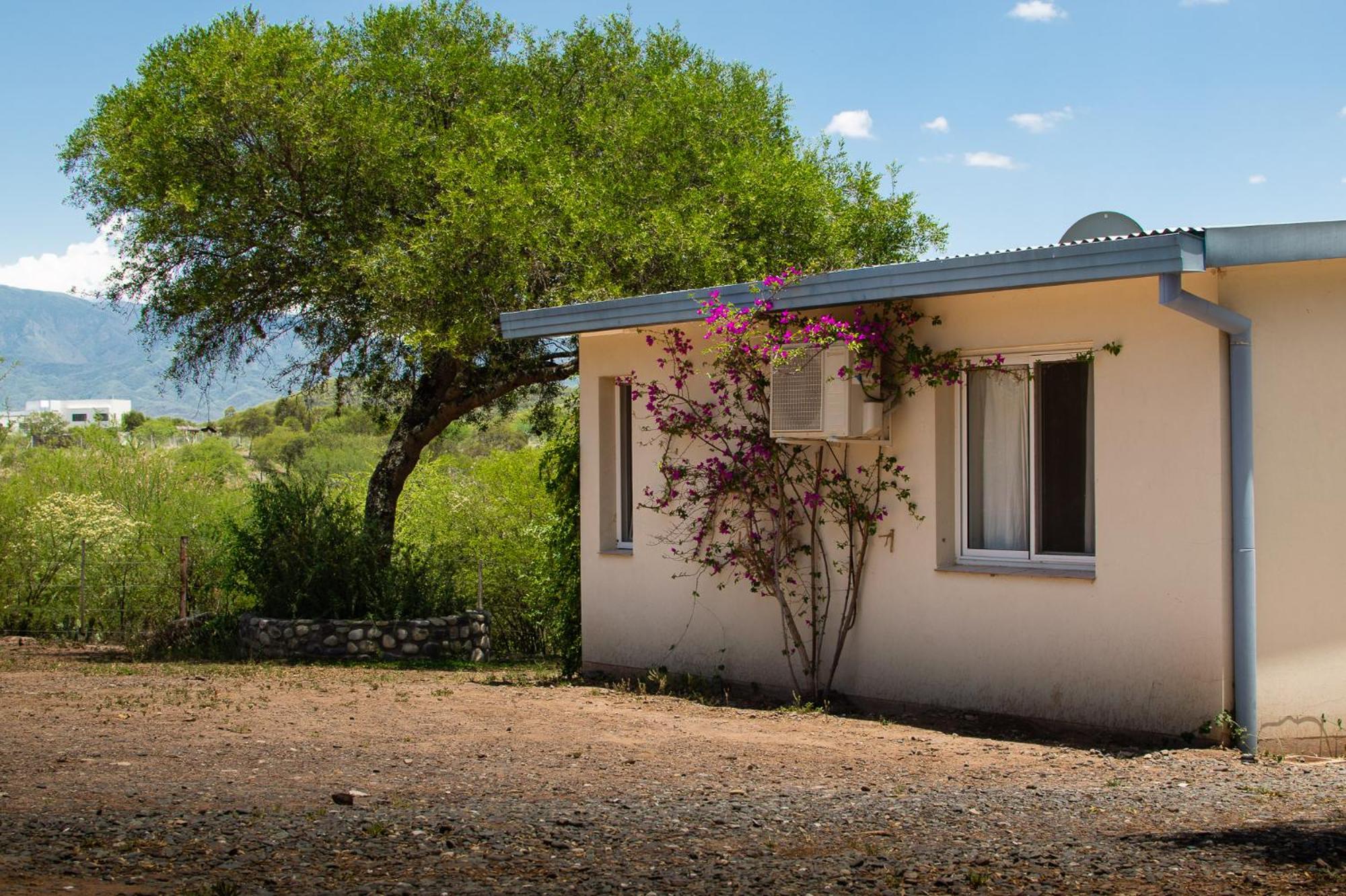 One-Bedroom House photo 2