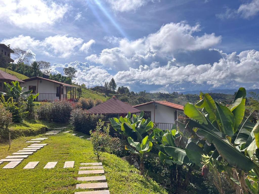 Superior Villa photo 2