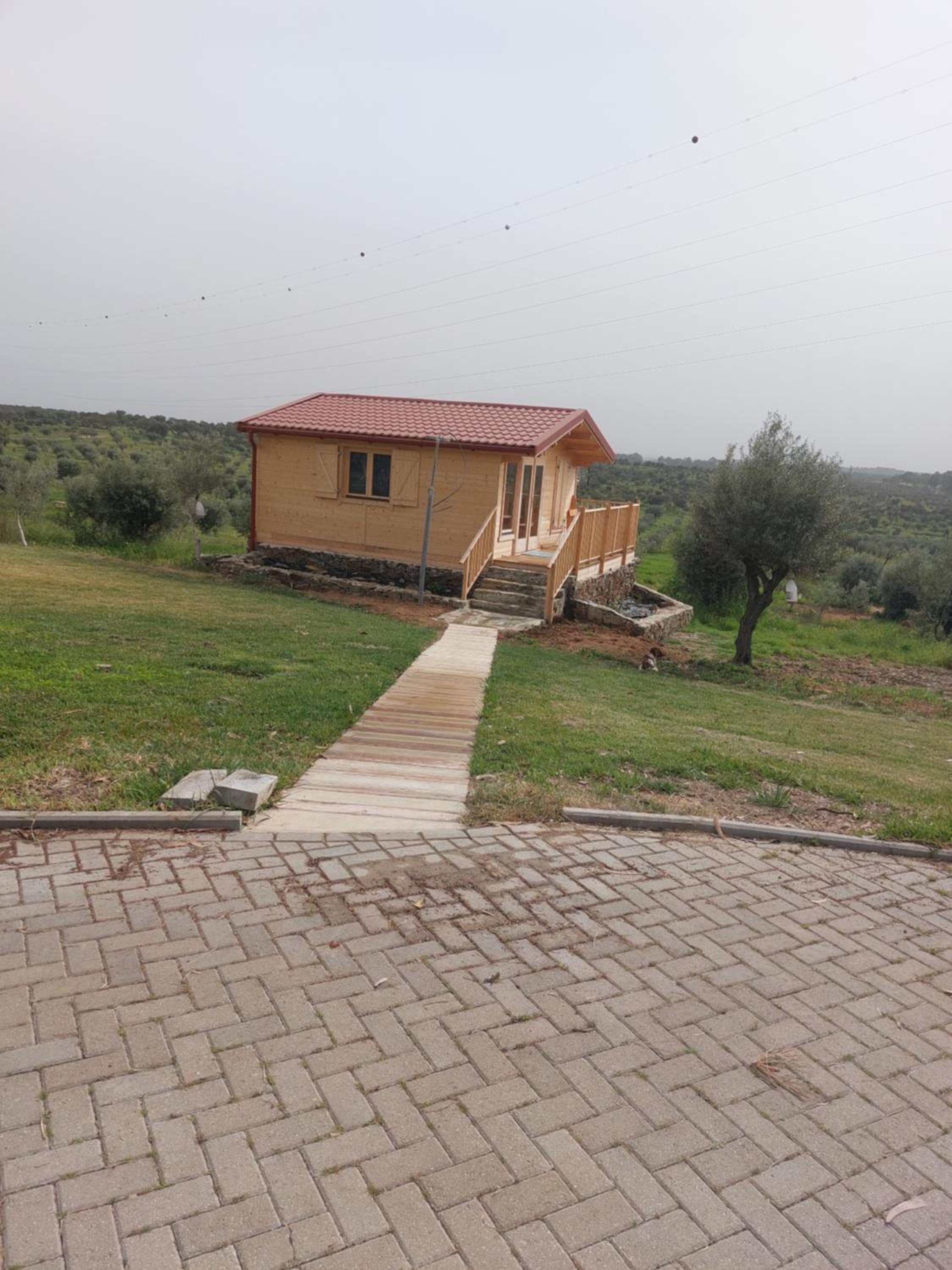 One-Bedroom Bungalow photo 3