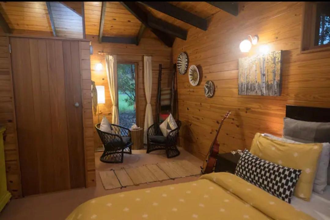 Treefern Cottage