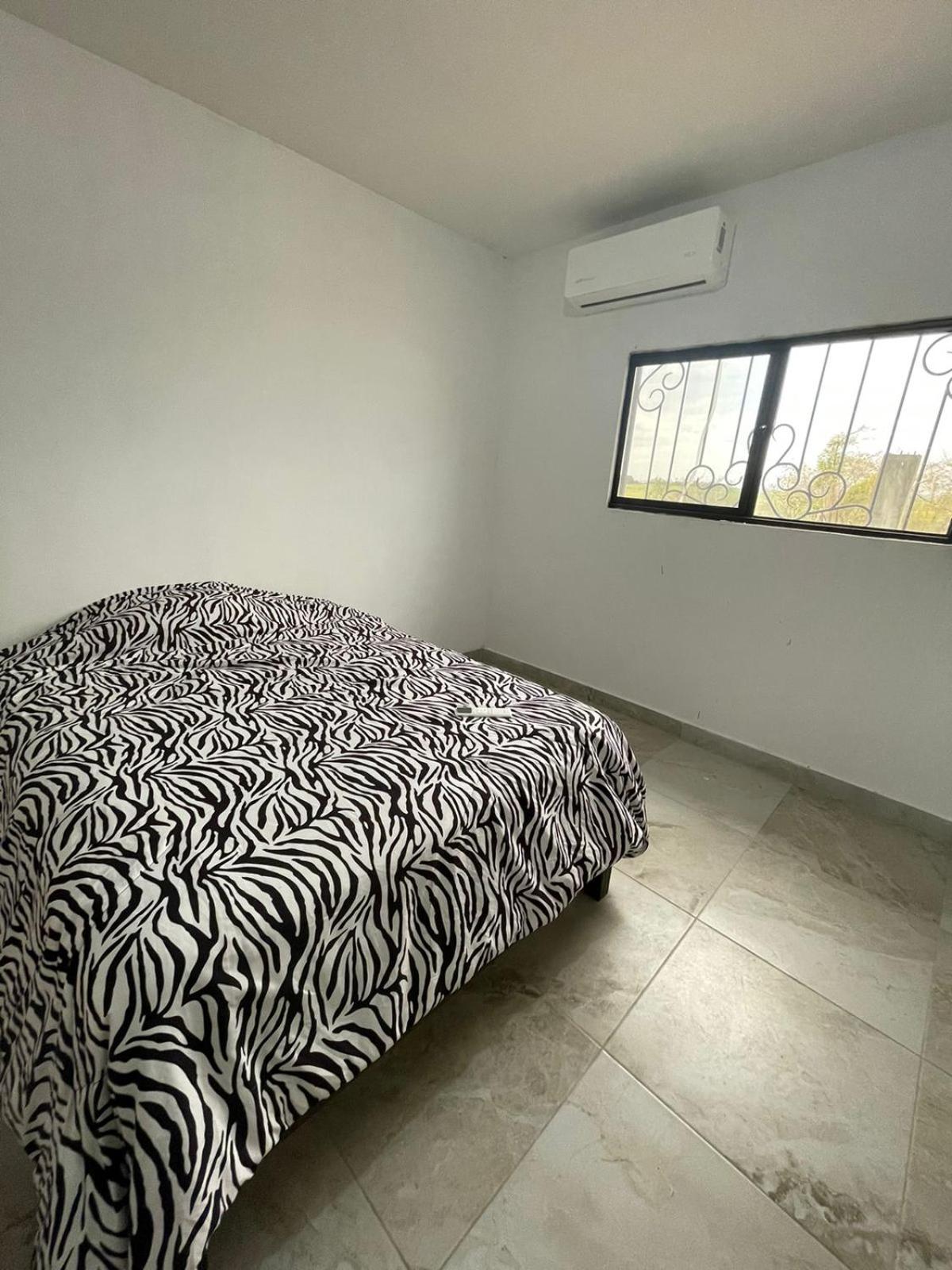 Double Or Twin Room photo 2