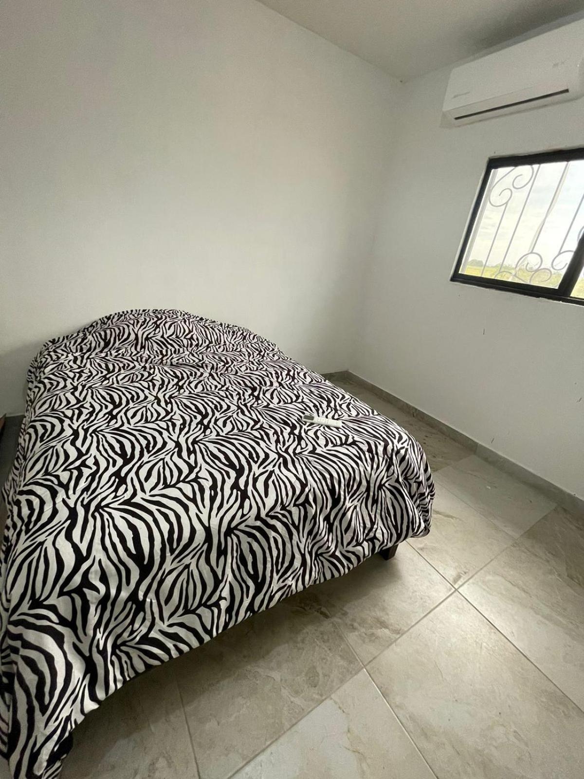 Double Or Twin Room photo 3
