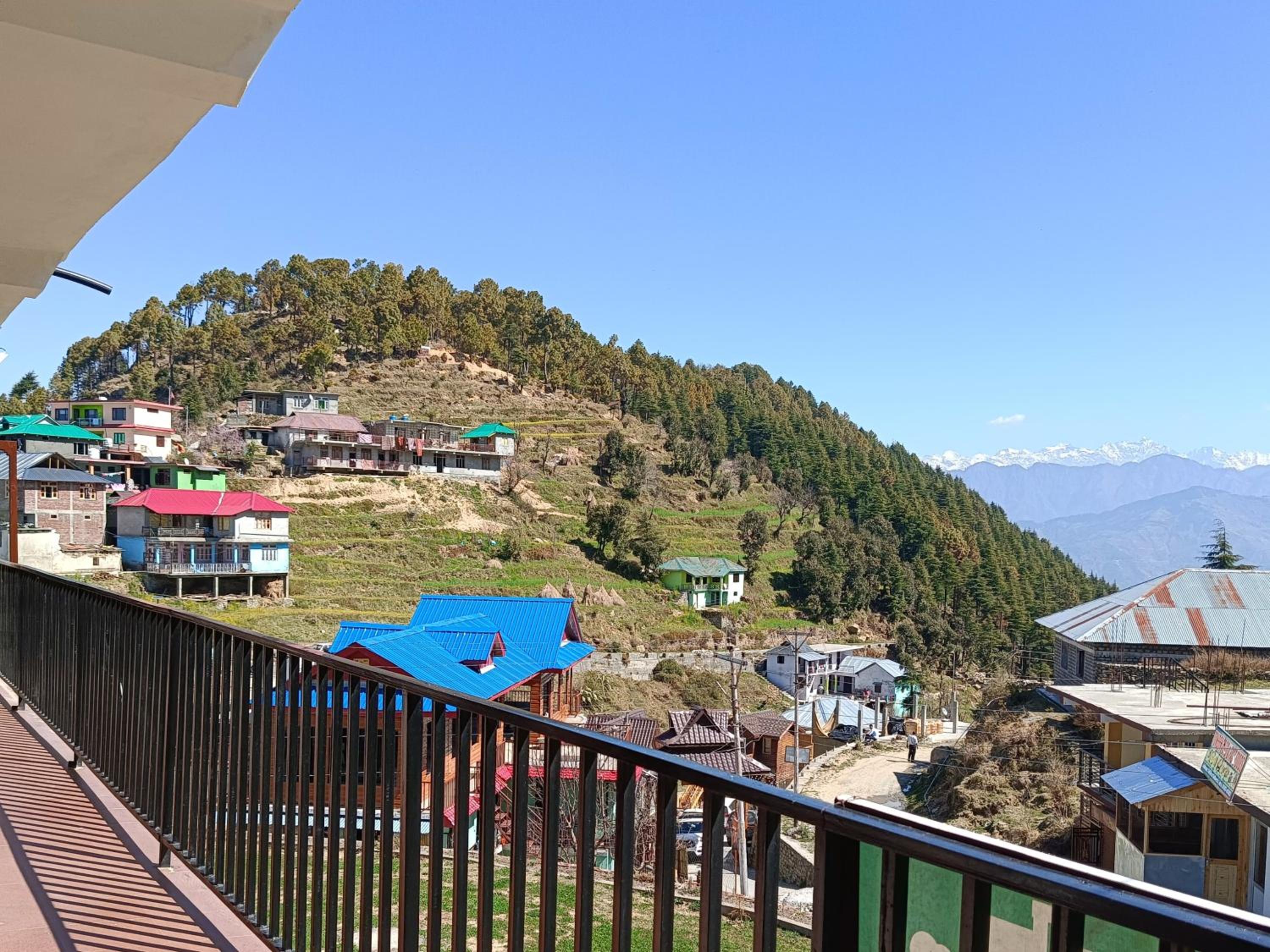 Double Room with Garden View photo 2