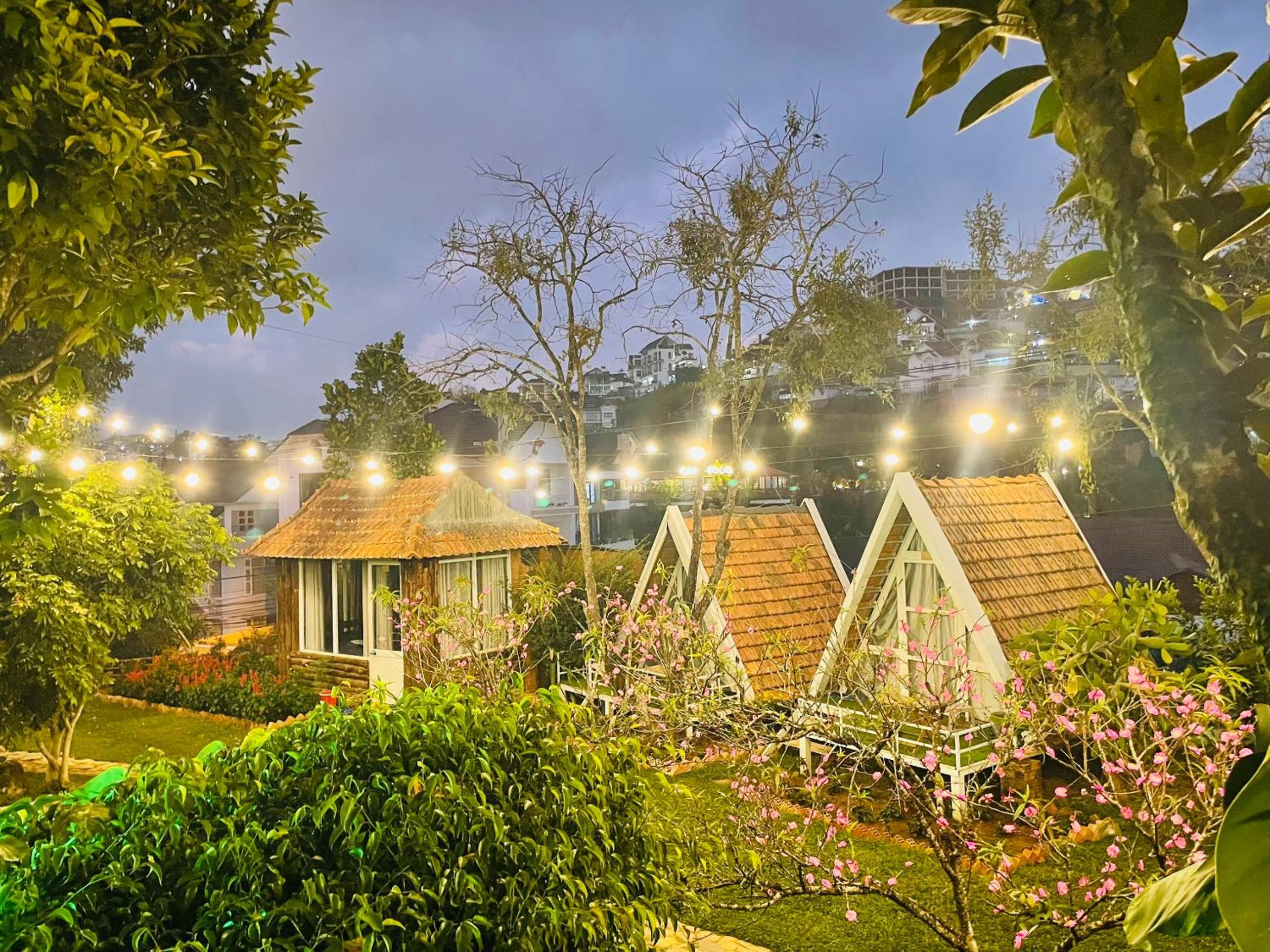 Bungalow With Garden View photo 2