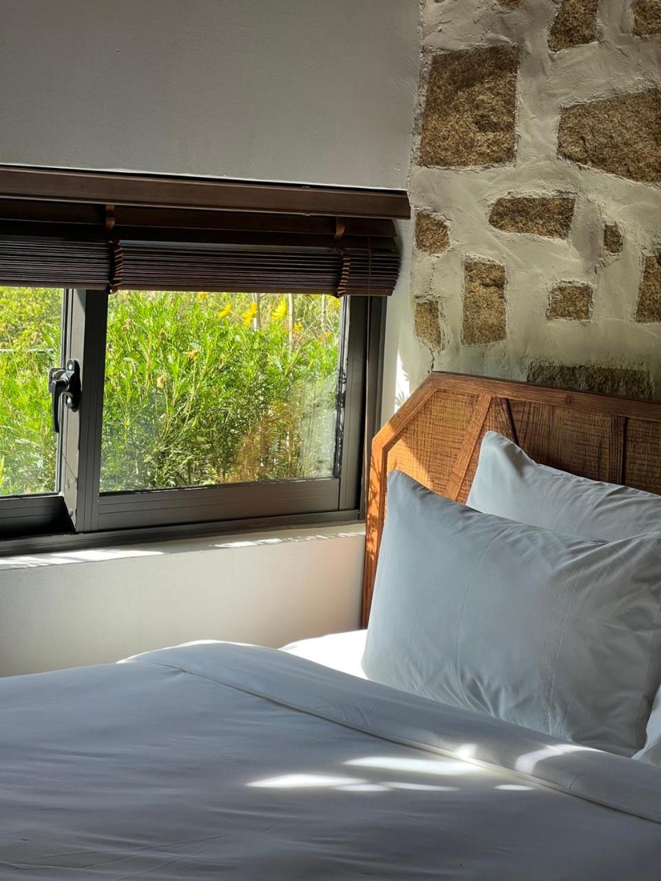 Double Room with Garden View photo 2