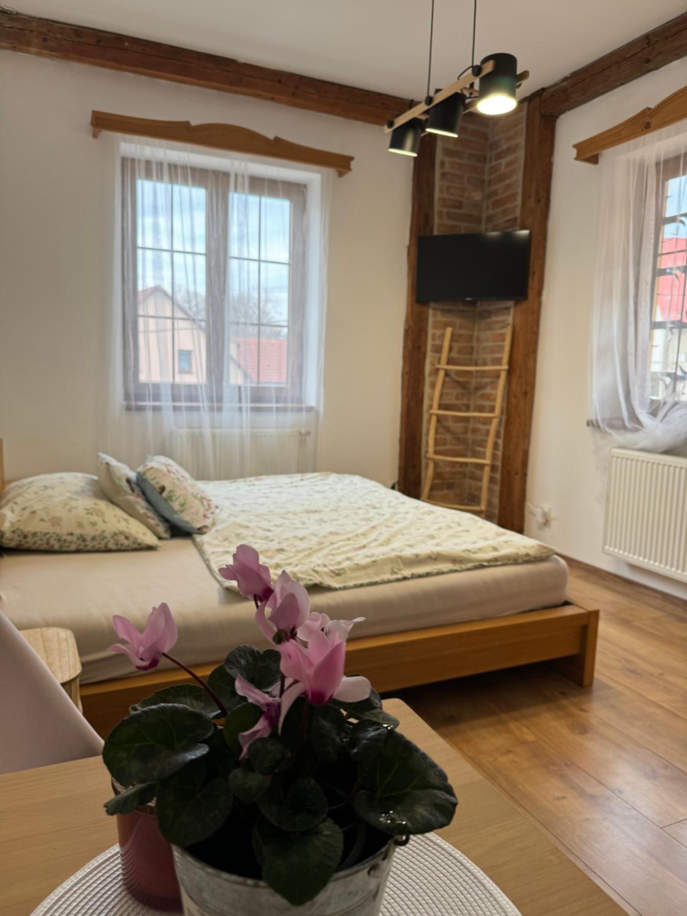 Double Room with Patio - Photo 3