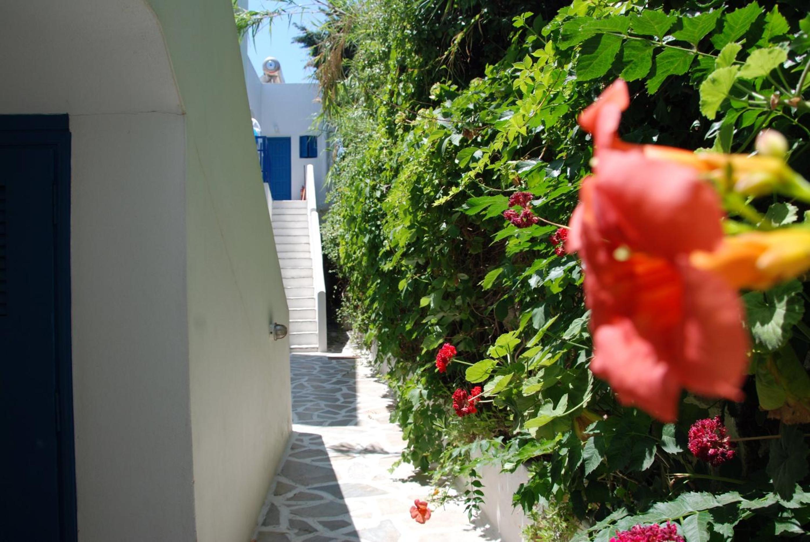 Triple Room with Sea View - Photo 23