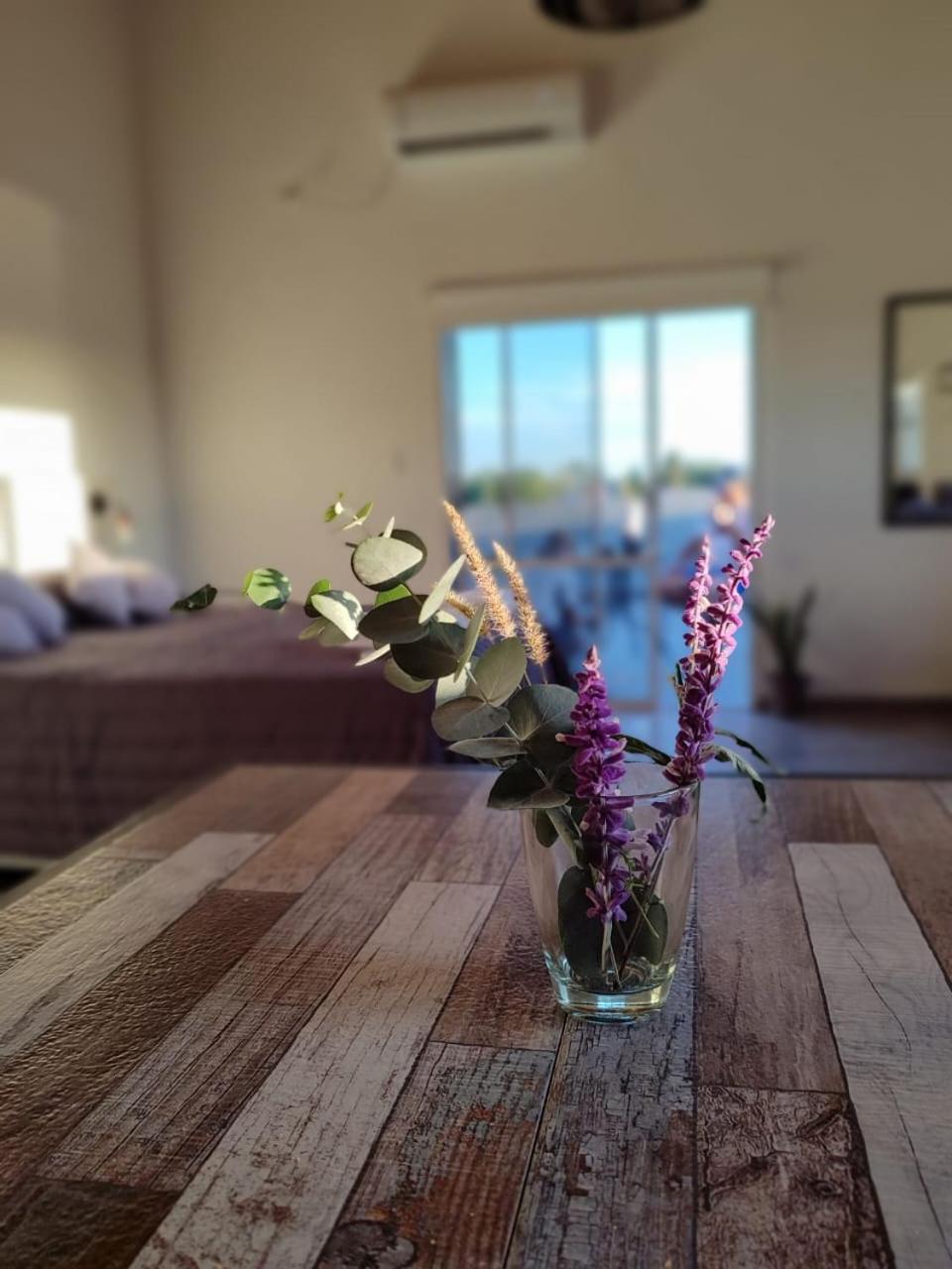 Studio with Terrace photo 2