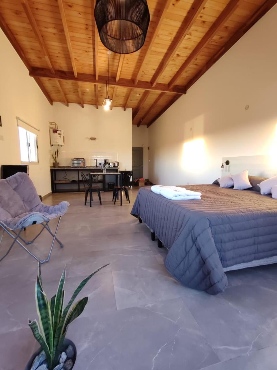 Studio with Terrace photo 3