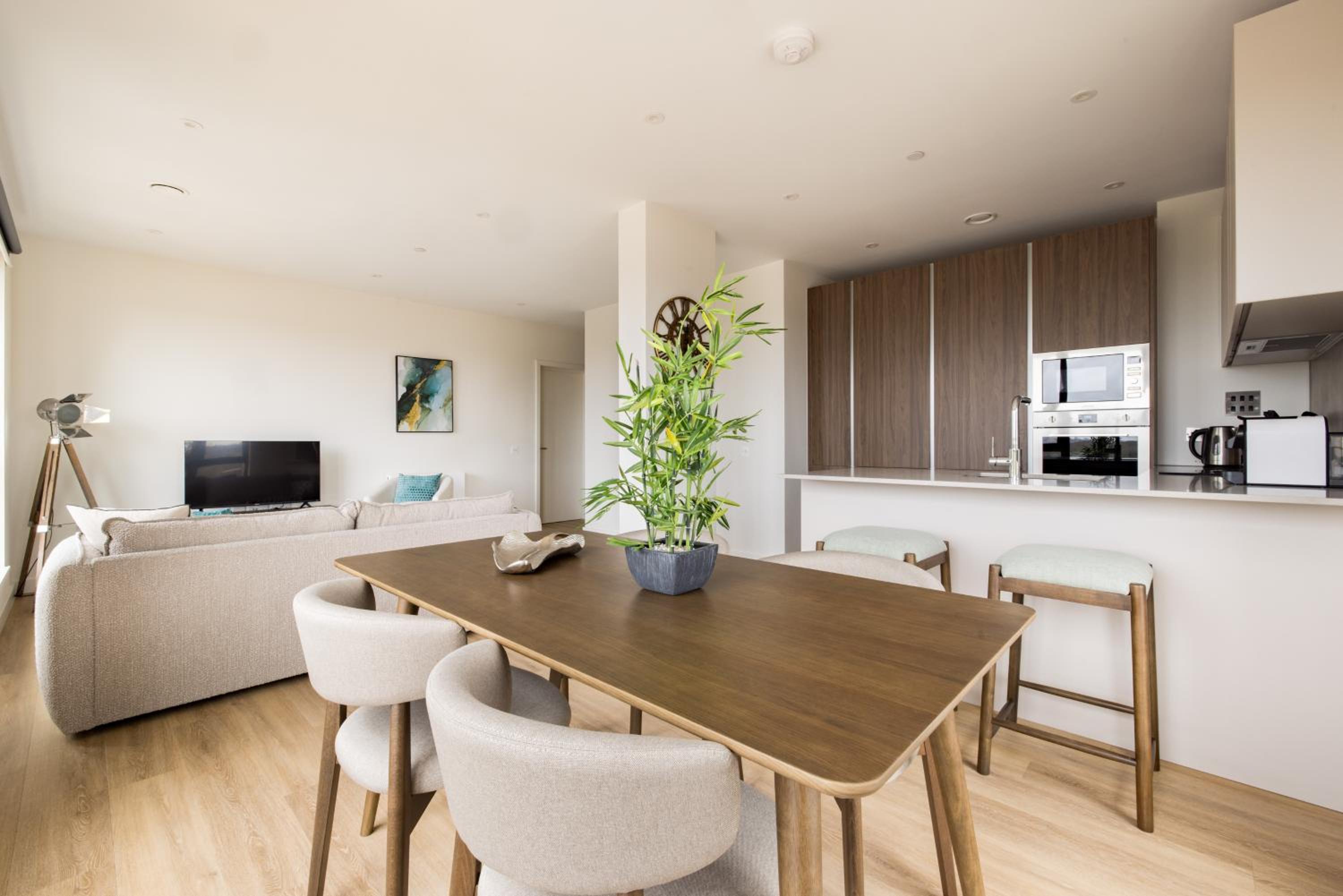 Two Bedroom Apartment  - Photo 6
