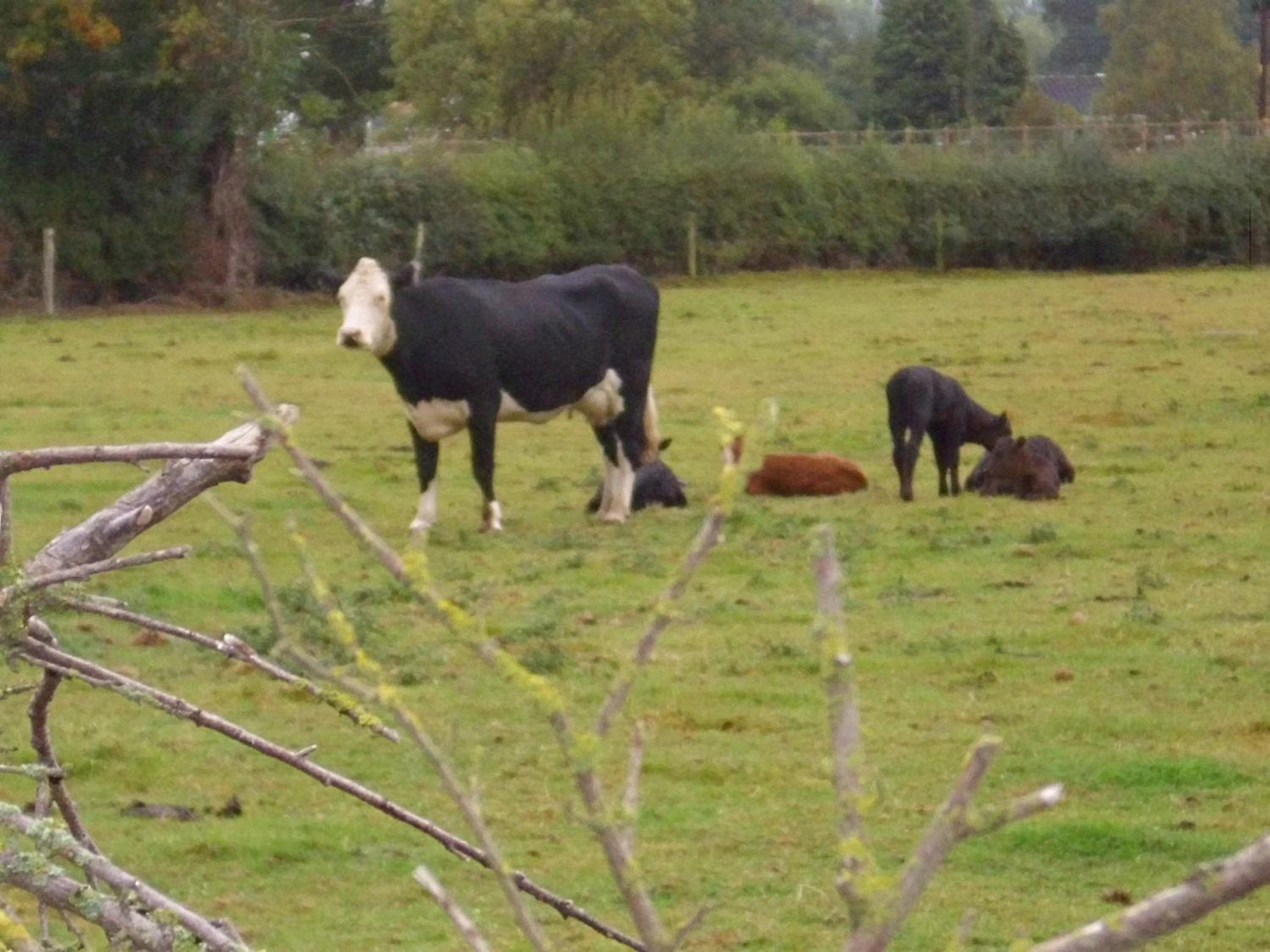 Double Room - Photo 5