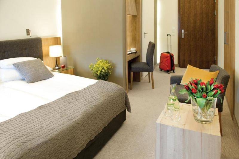 Standard Double Room – Castle