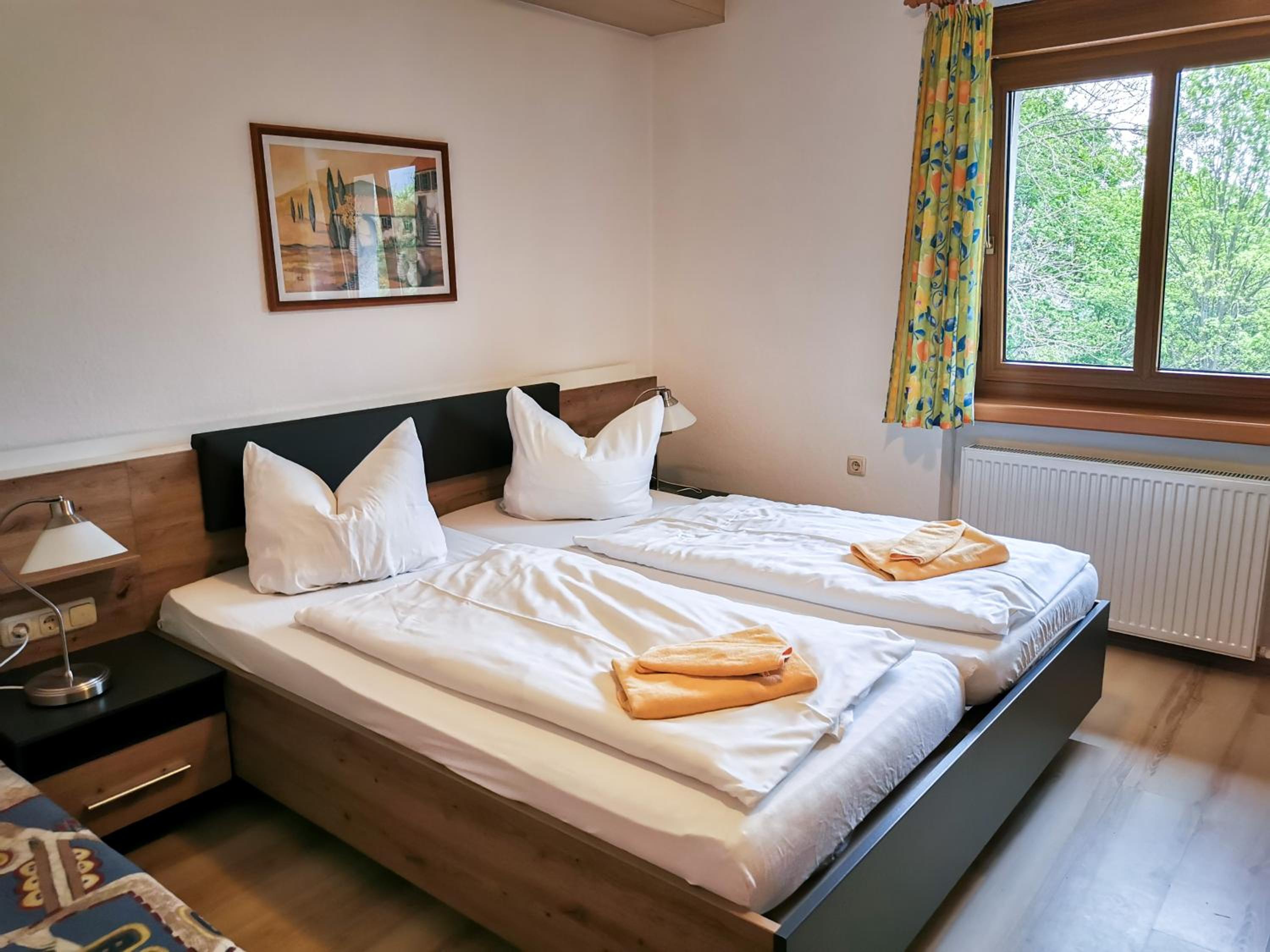 Deluxe Double Room photo 1