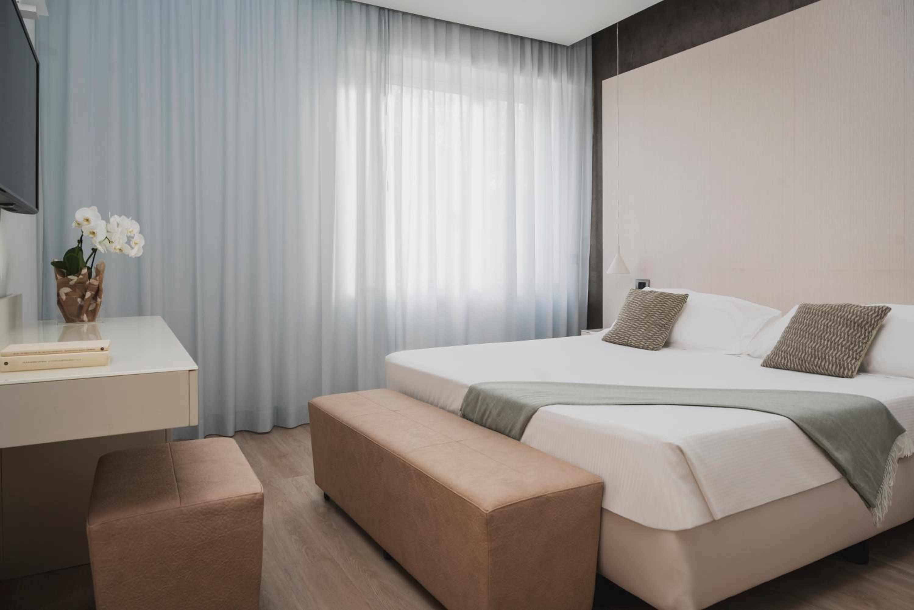 Suite - Photo 1