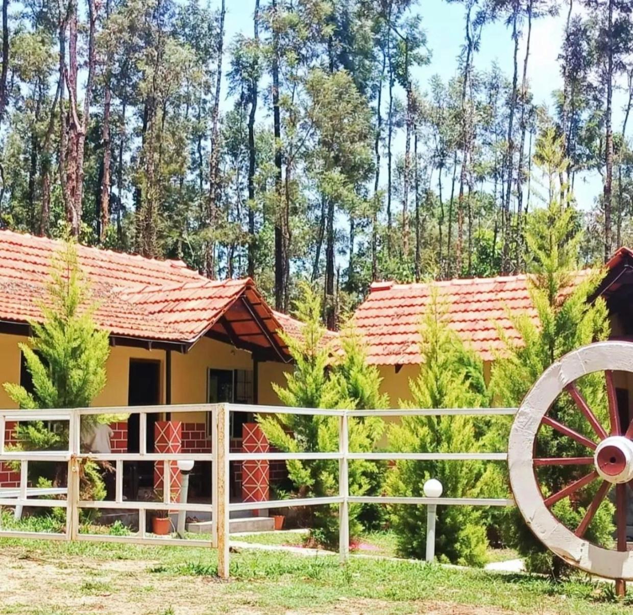 Deluxe Villa photo 2