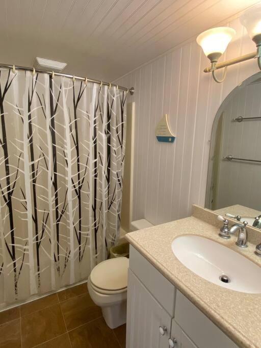 One-Bedroom House photo 2