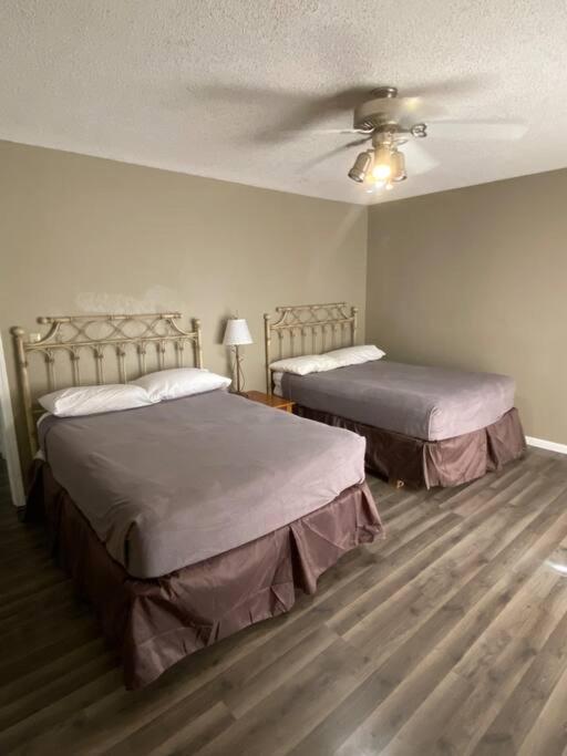 One-Bedroom House photo 1
