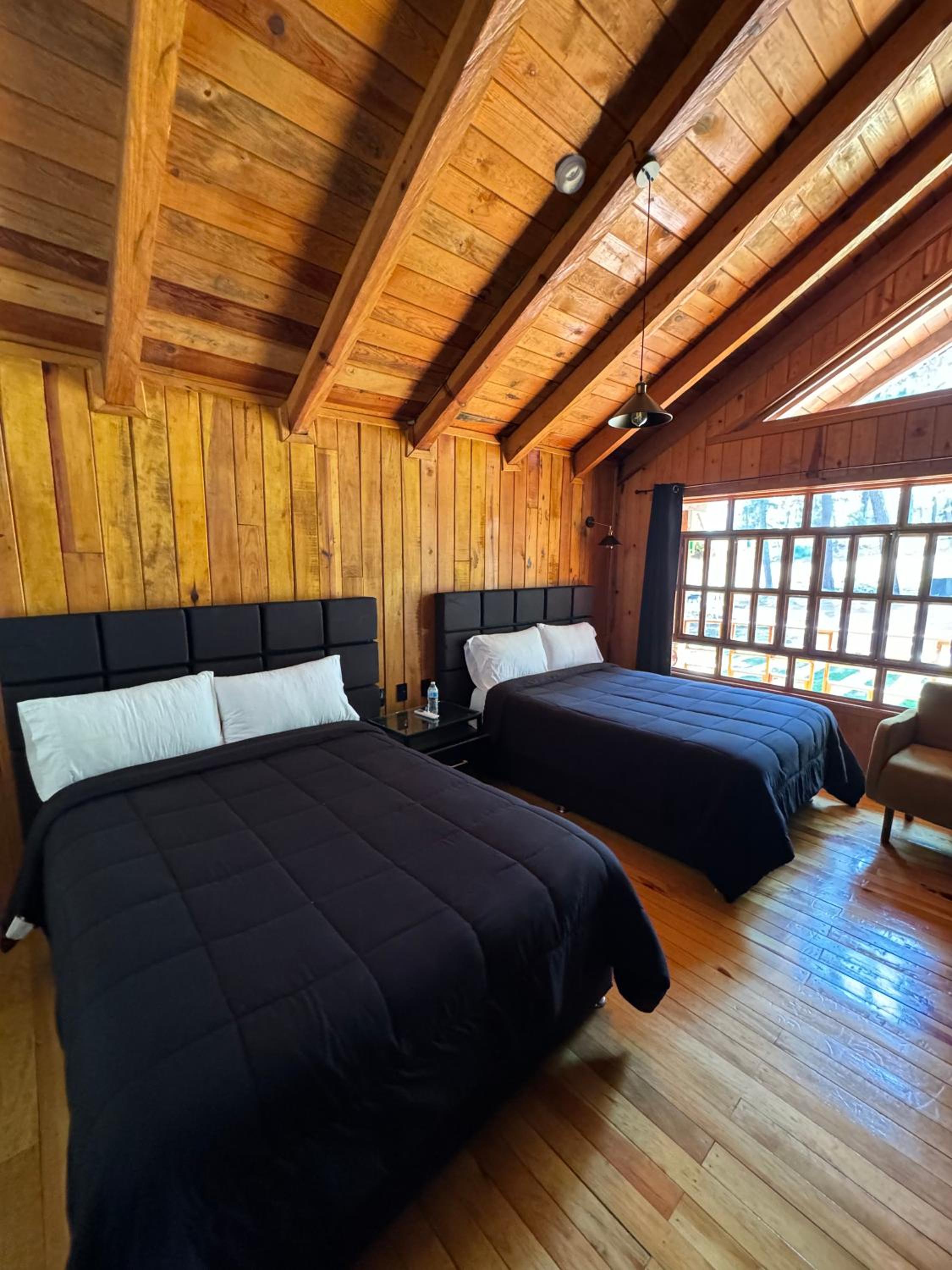 Family Suite - Photo 15