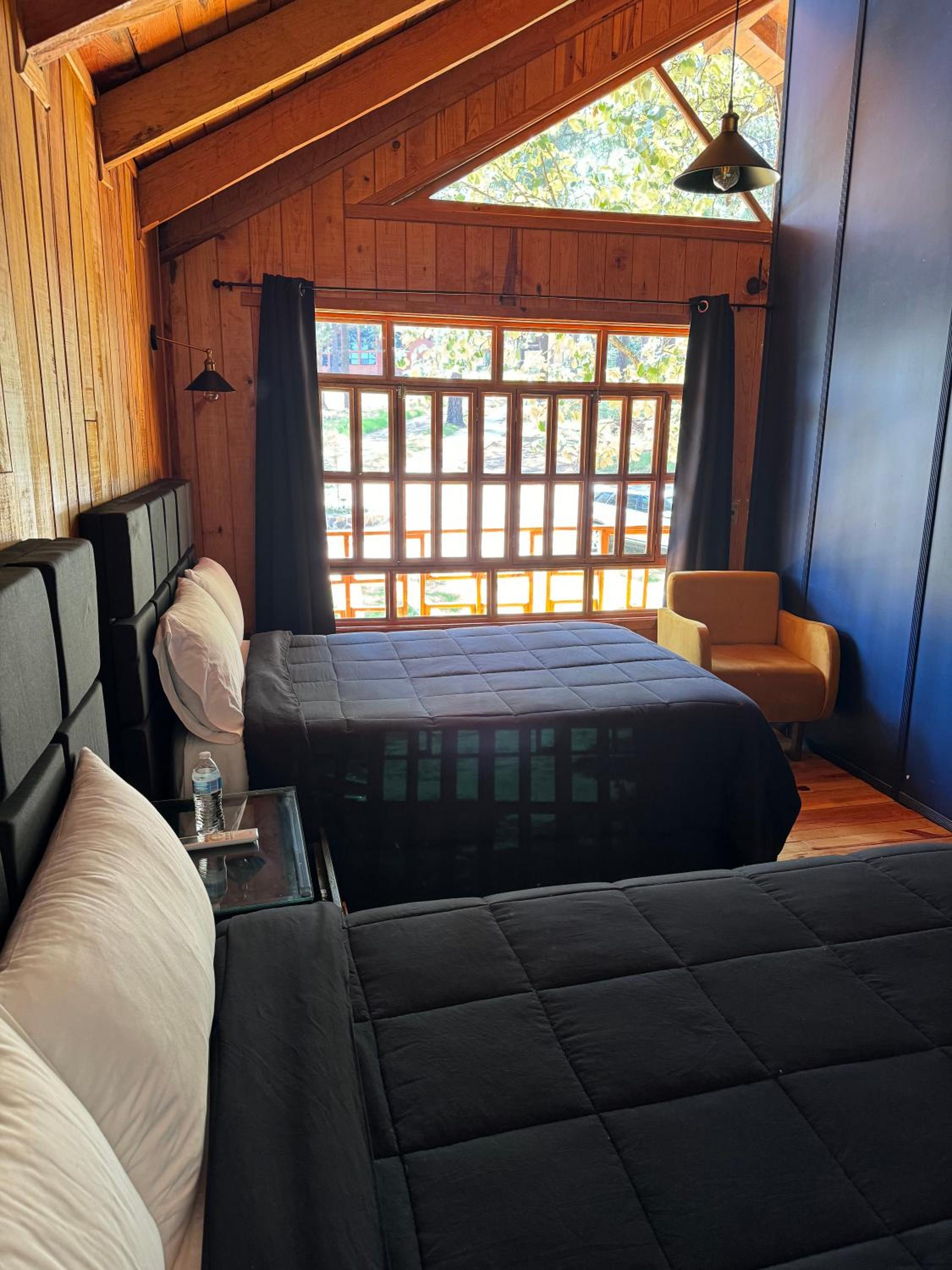 Family Suite - Photo 4