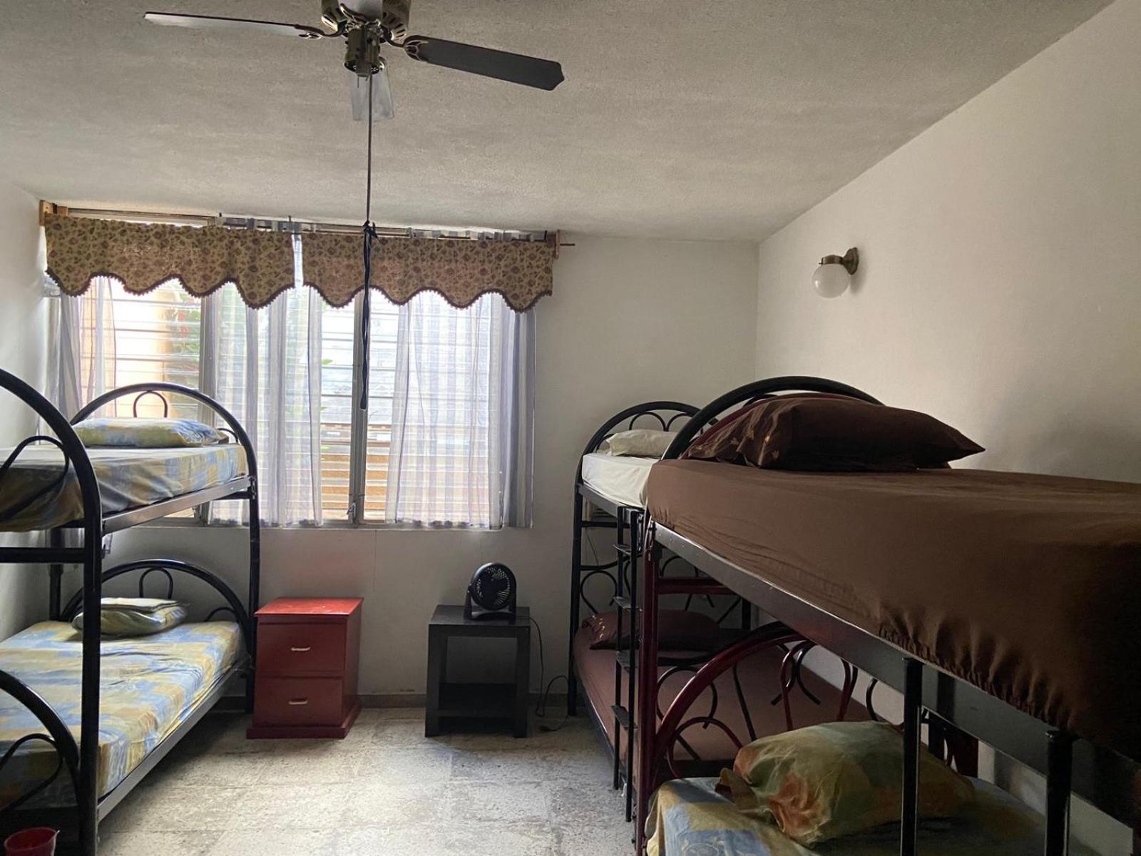 Bunk Bed in Mixed Dormitory Room photo 2