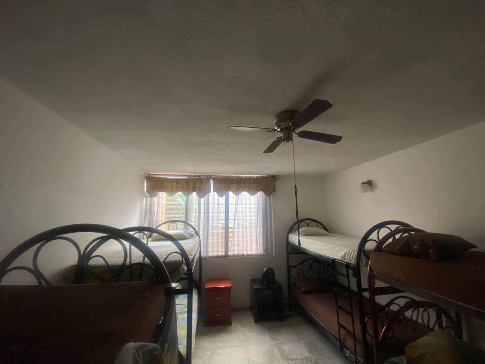 Bunk Bed in Mixed Dormitory Room photo 3