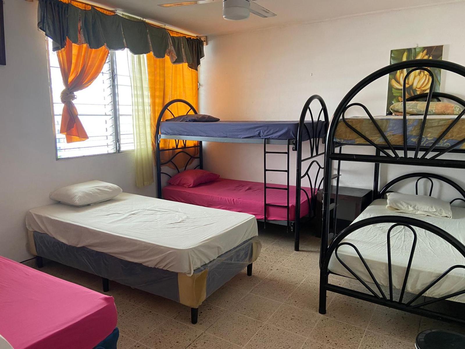 Bunk Bed in Mixed Dormitory Room photo 1