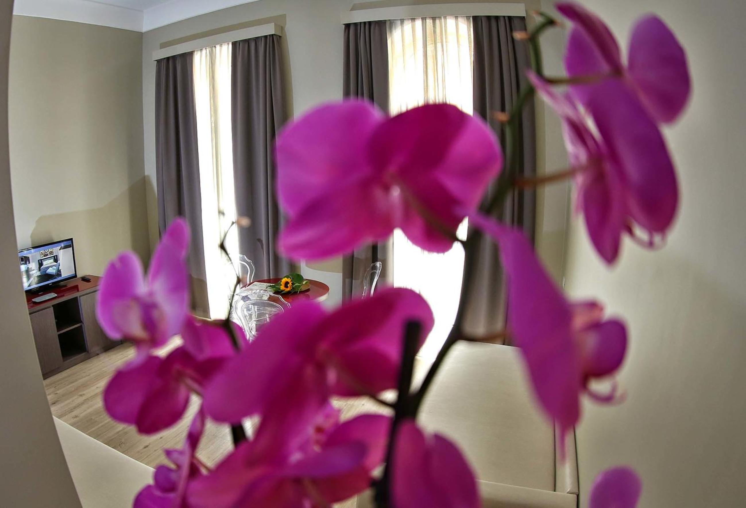 Double Room with Balcony photo 1