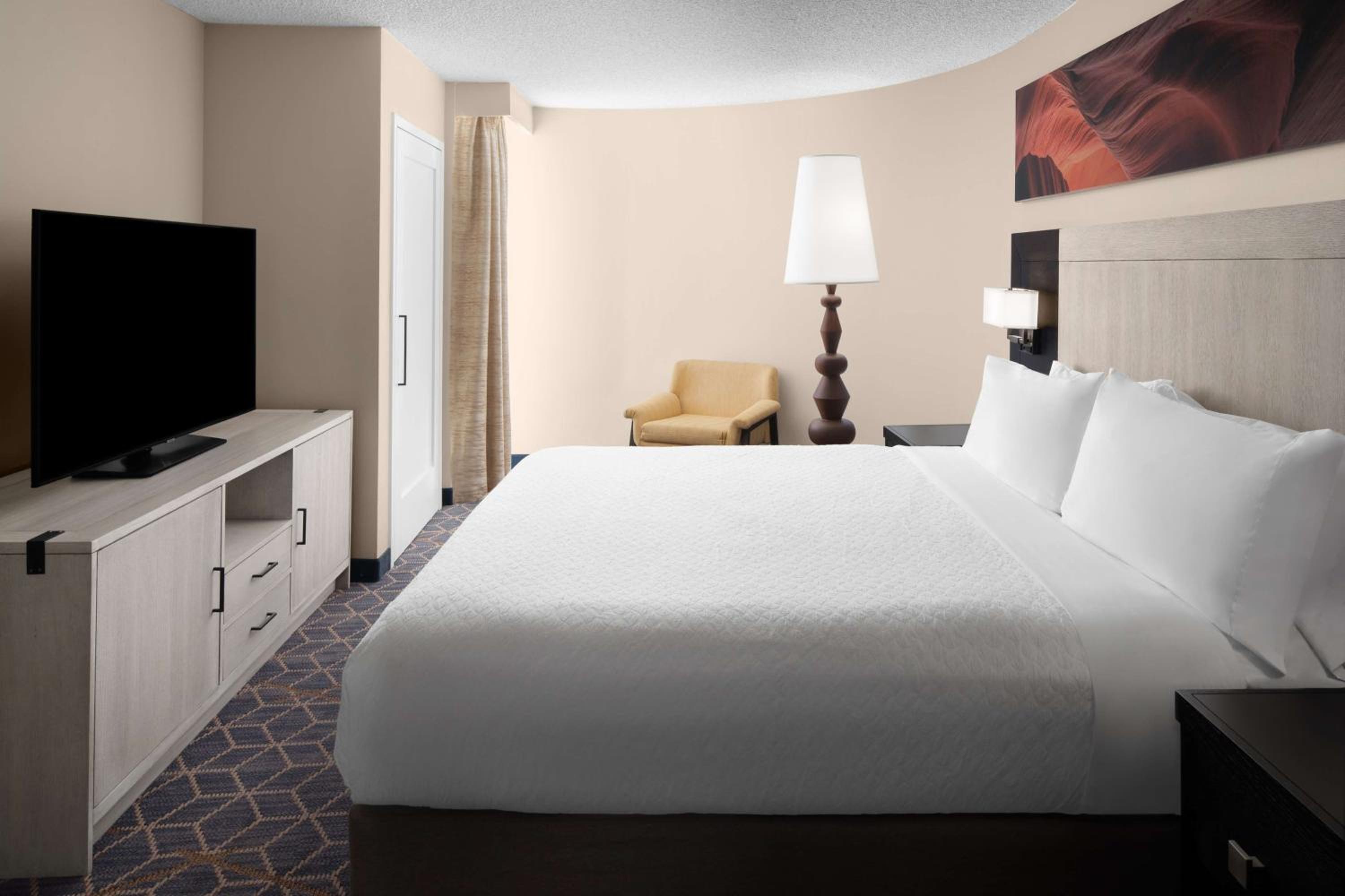 Two-Room Suite - Photo 6