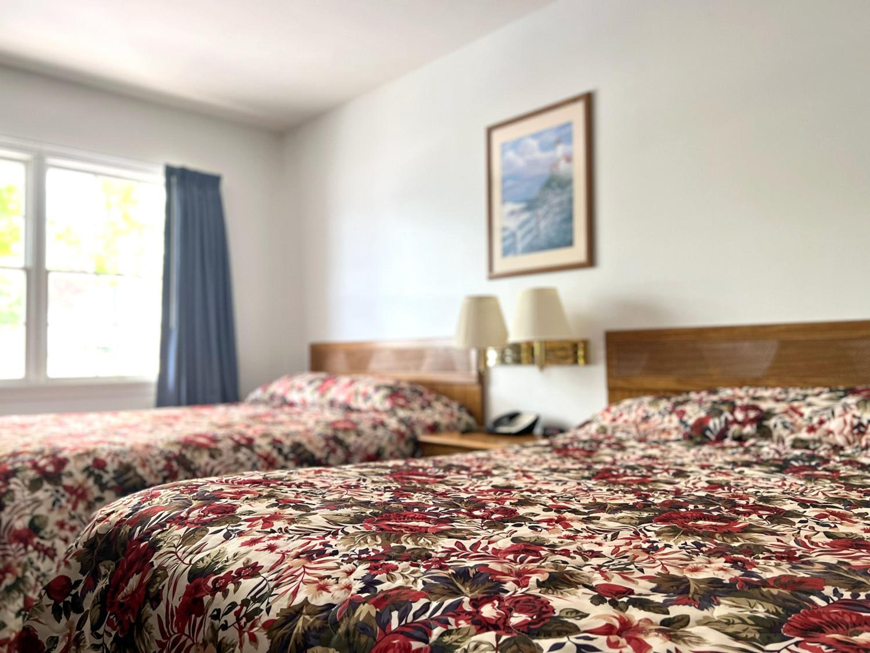 Double Room - Disability Access photo 1