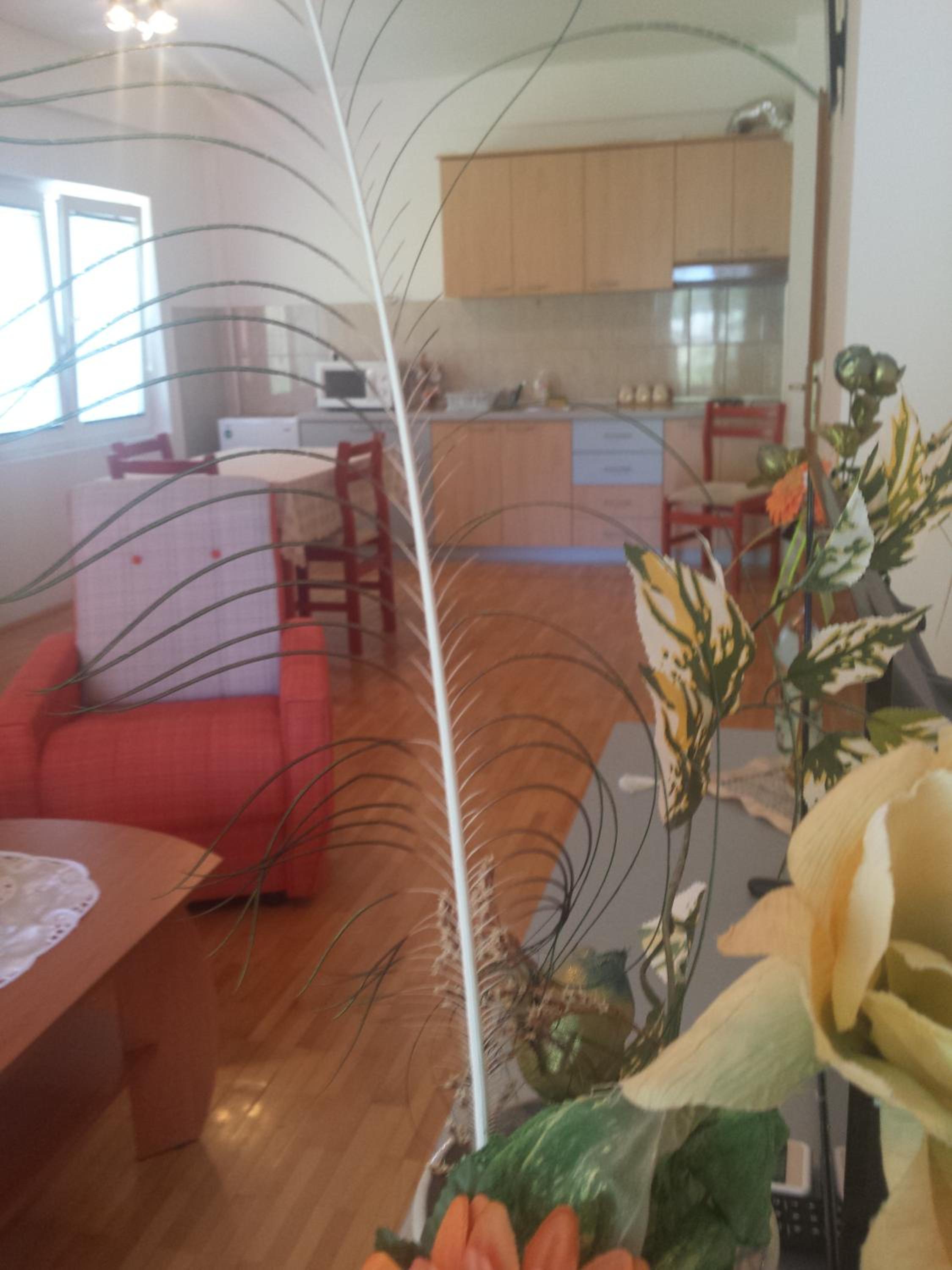 Apartment with Terrace photo 2