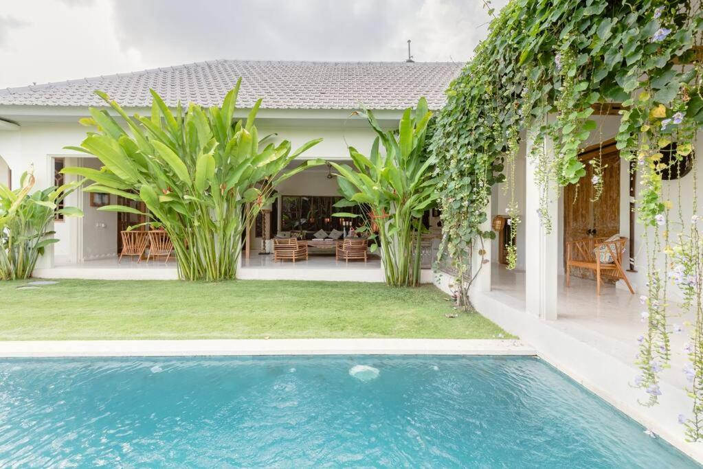 Three-Bedroom Villa photo 2