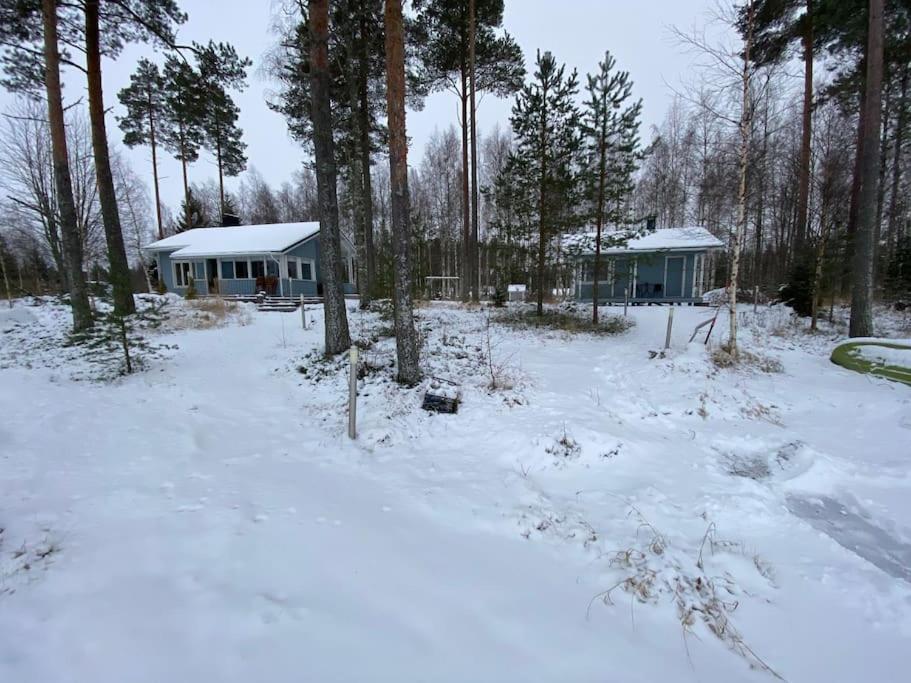 Three-Bedroom Chalet photo 3