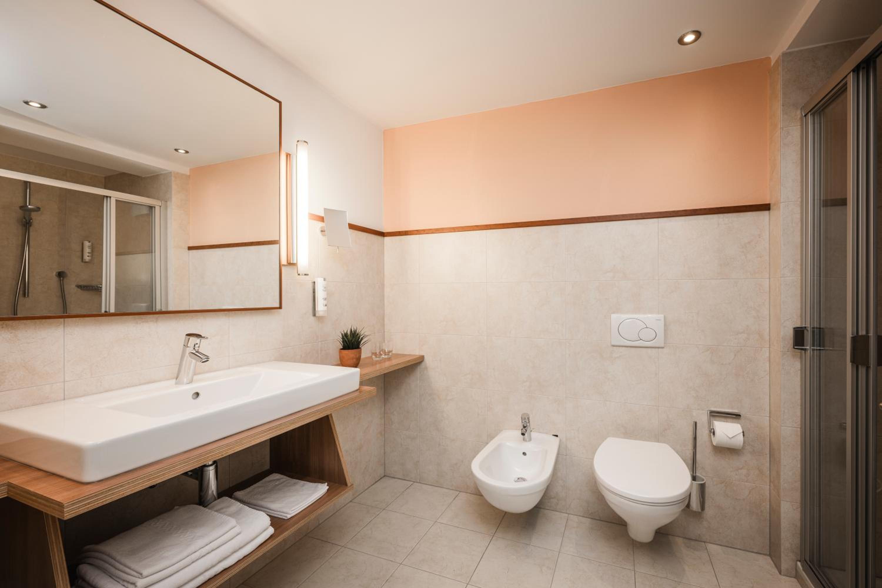 Deluxe Double or Twin Room photo 2