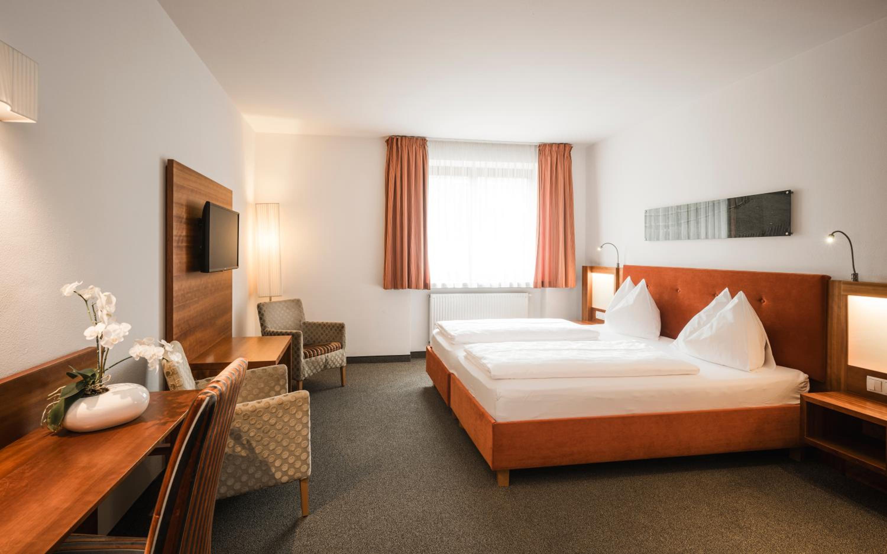 Deluxe Double or Twin Room photo 1